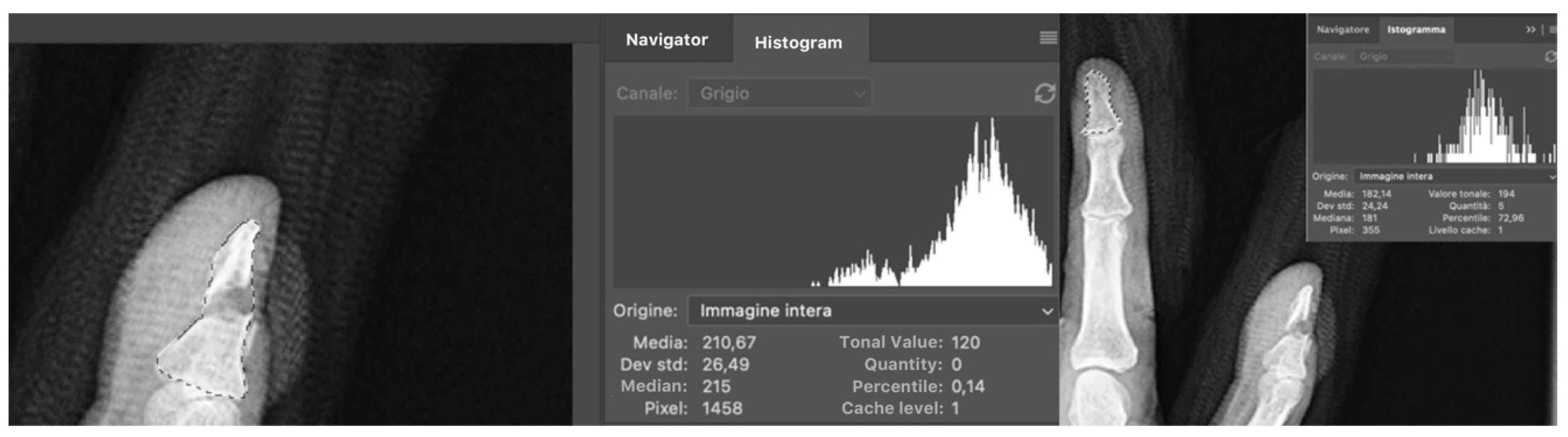 Biomedicines 10 02519 g001