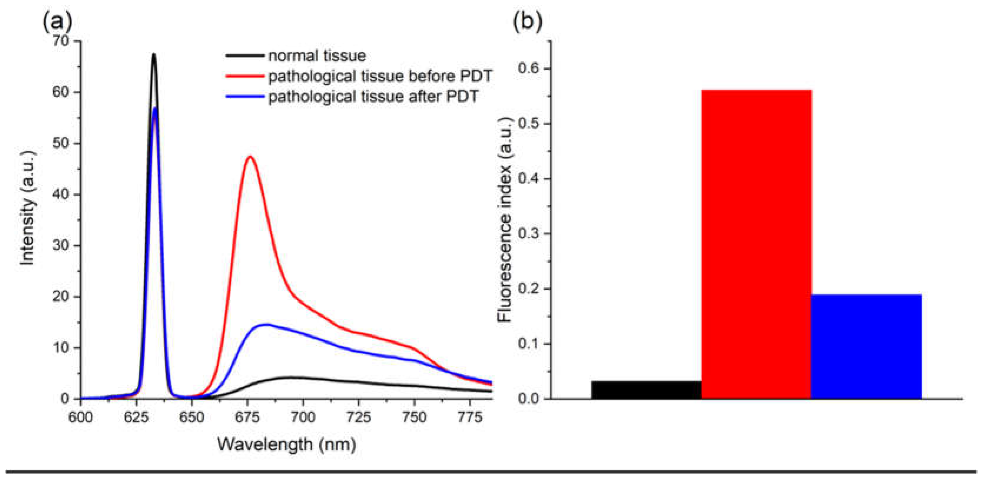 Biomedicines 10 02521 g002
