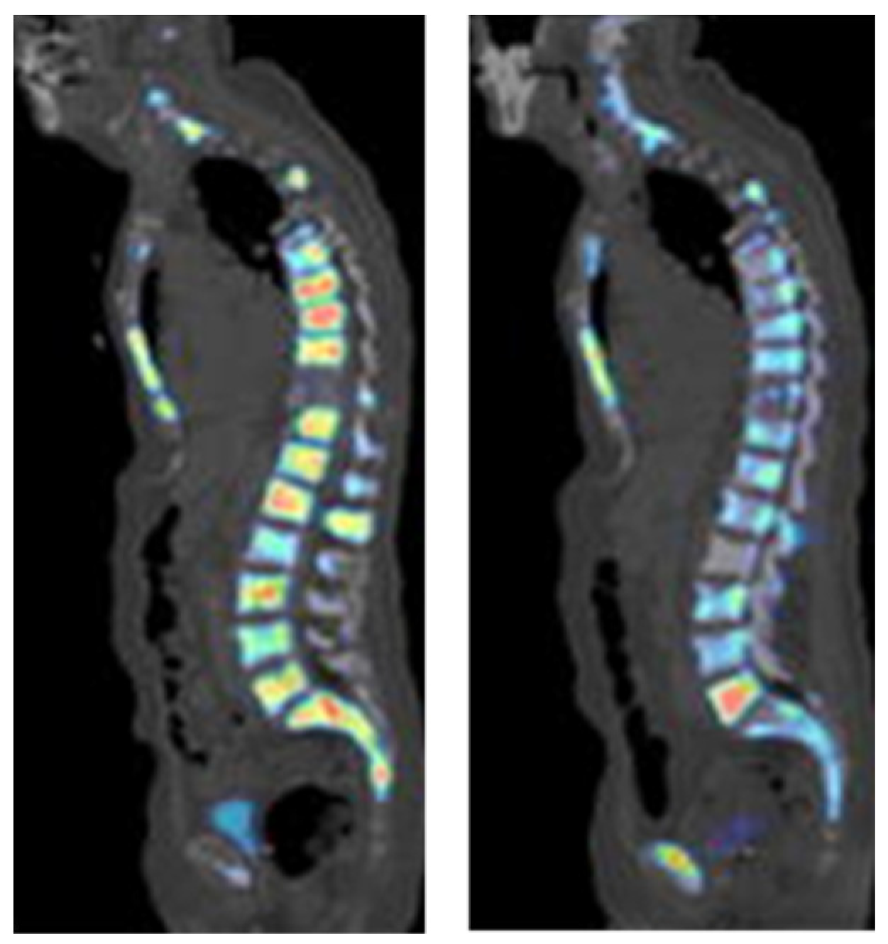 Biomedicines 10 02533 g007 Biomedicines 10 02533 g007