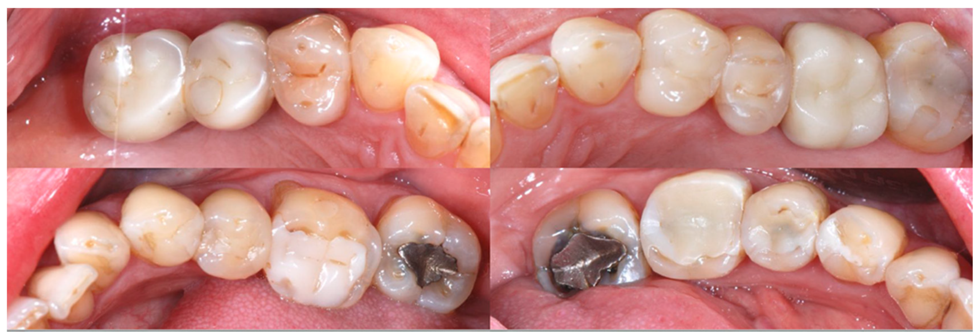 Biomedicines 10 02536 g002 Biomedicines 10 02536 g002