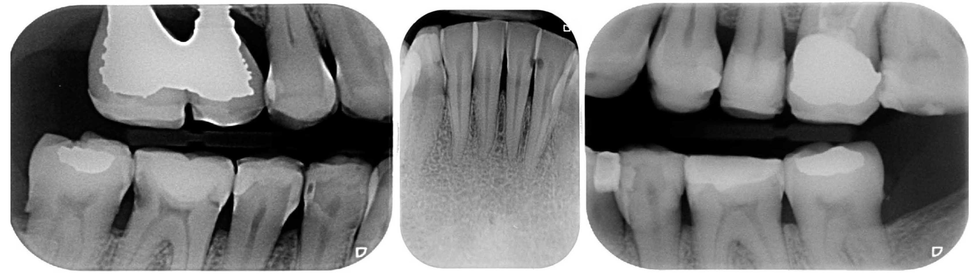 Biomedicines 10 02536 g005 Biomedicines 10 02536 g005
