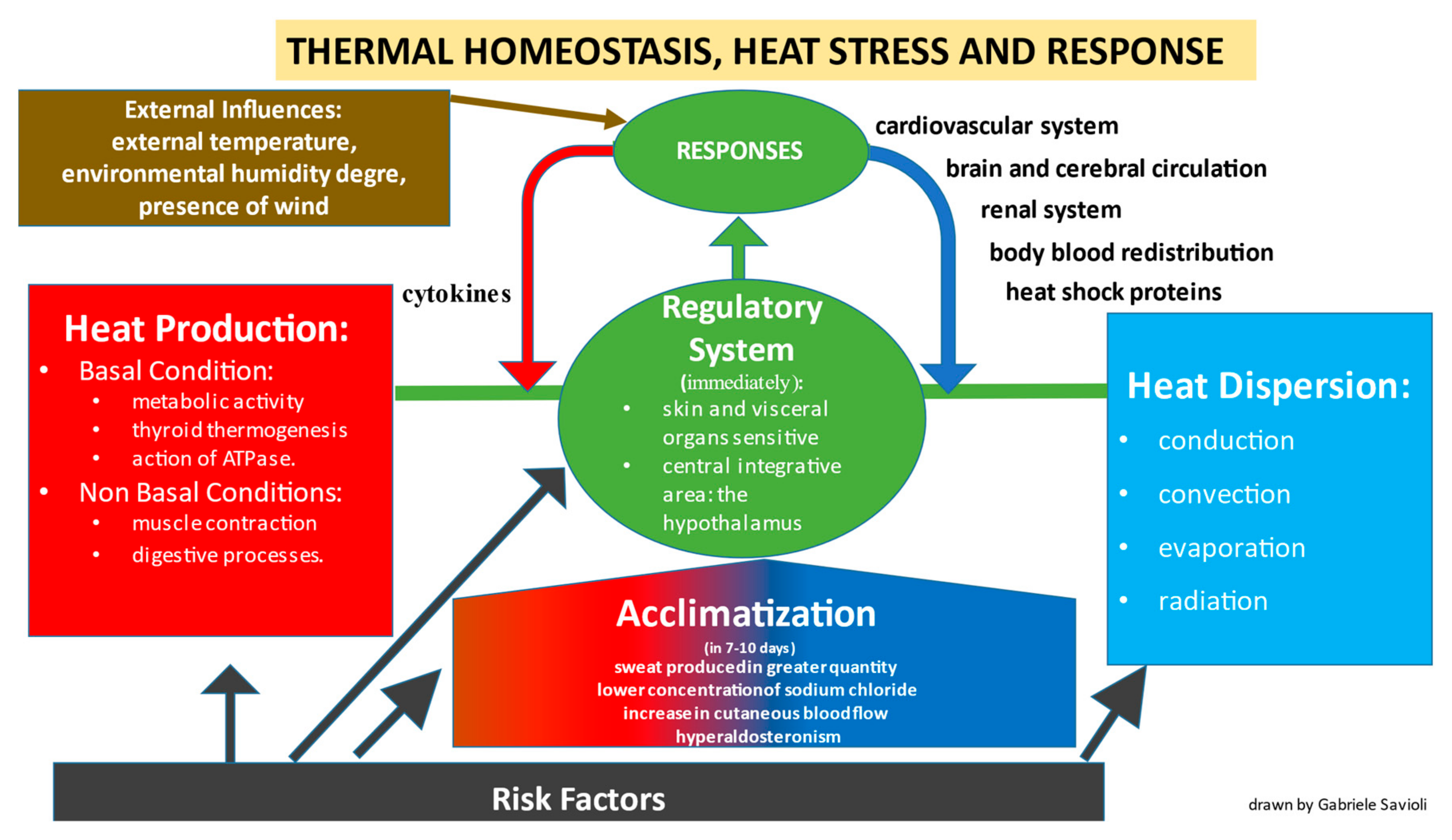 Biomedicines 10 02542 g001