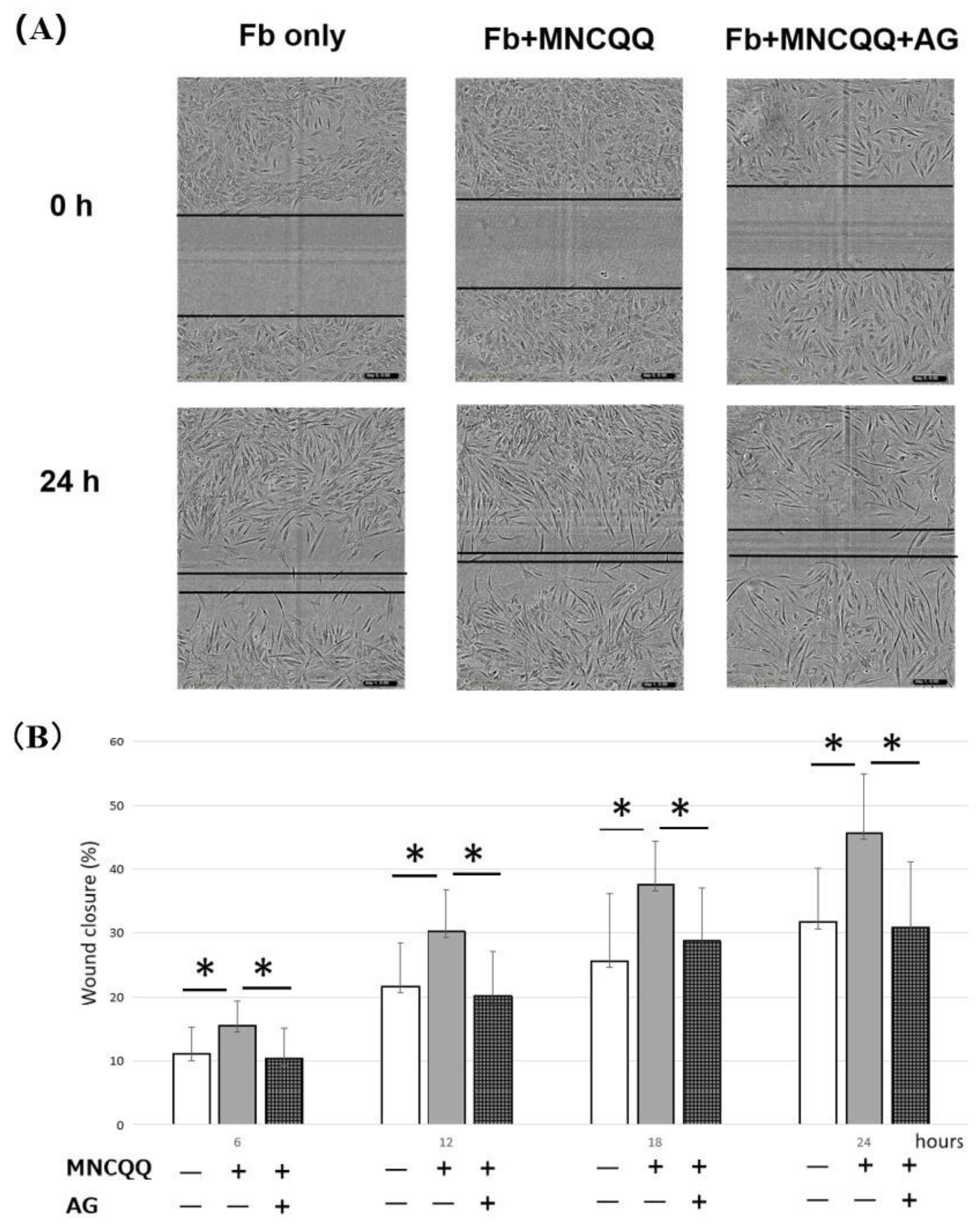 Biomedicines 10 02544 g004