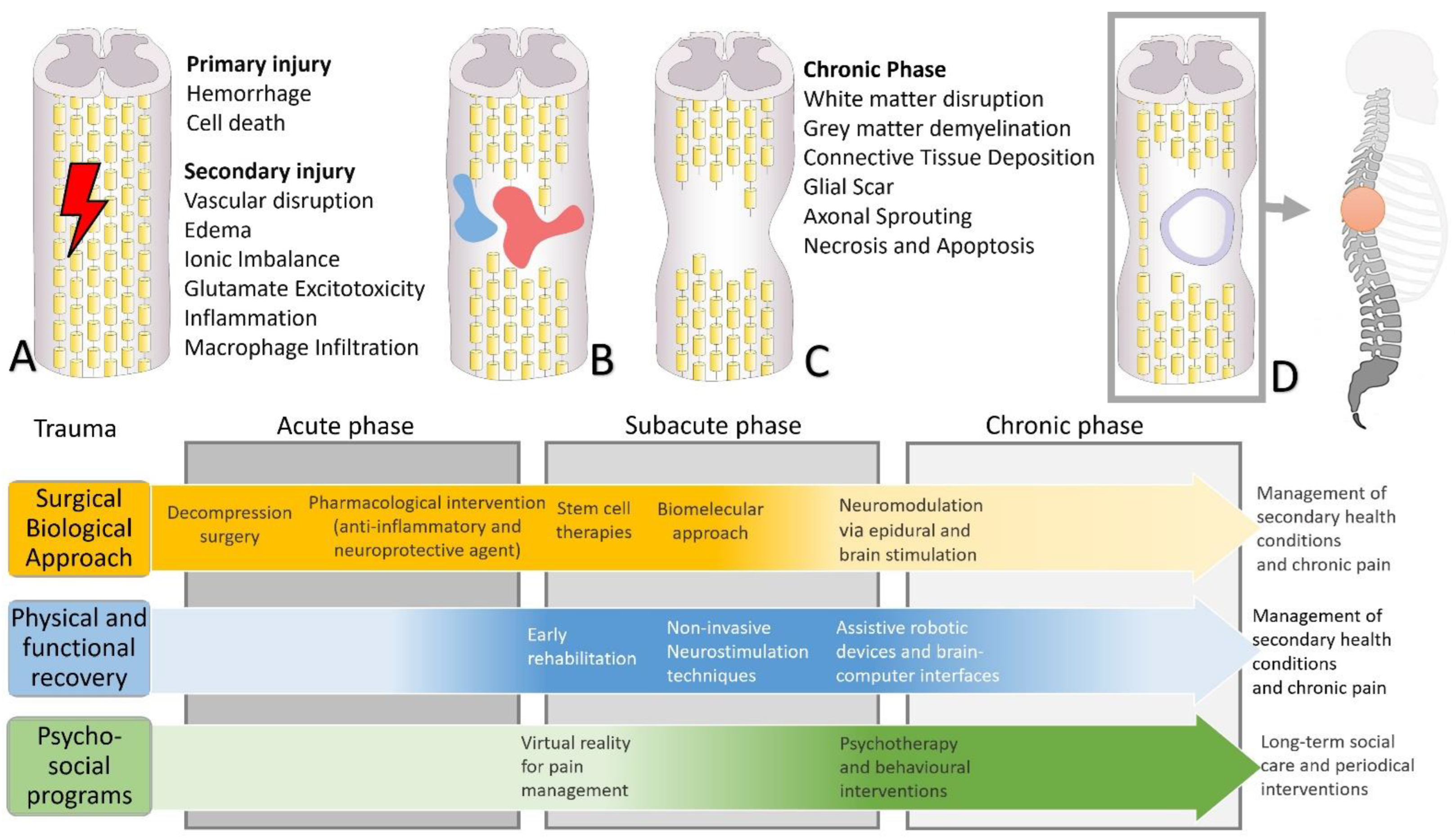 Biomedicines 10 02563 g001 Biomedicines 10 02563 g001