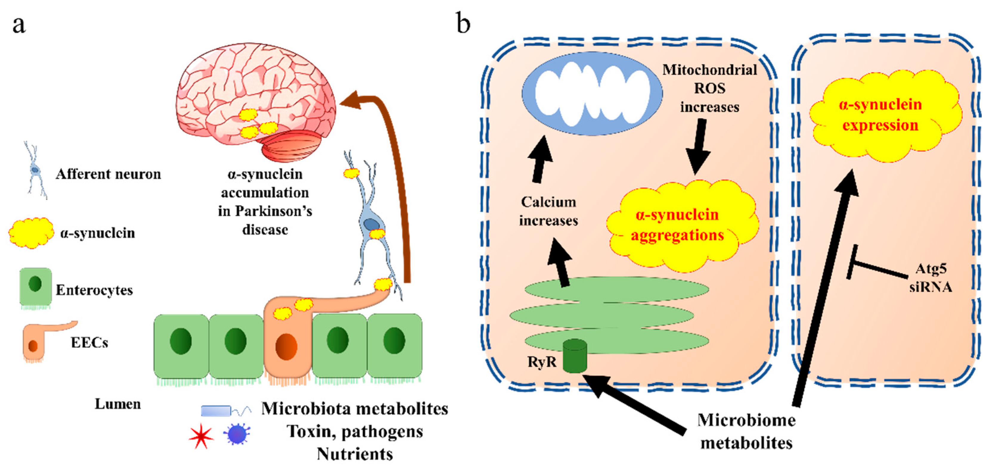 Biomedicines 10 02577 g003