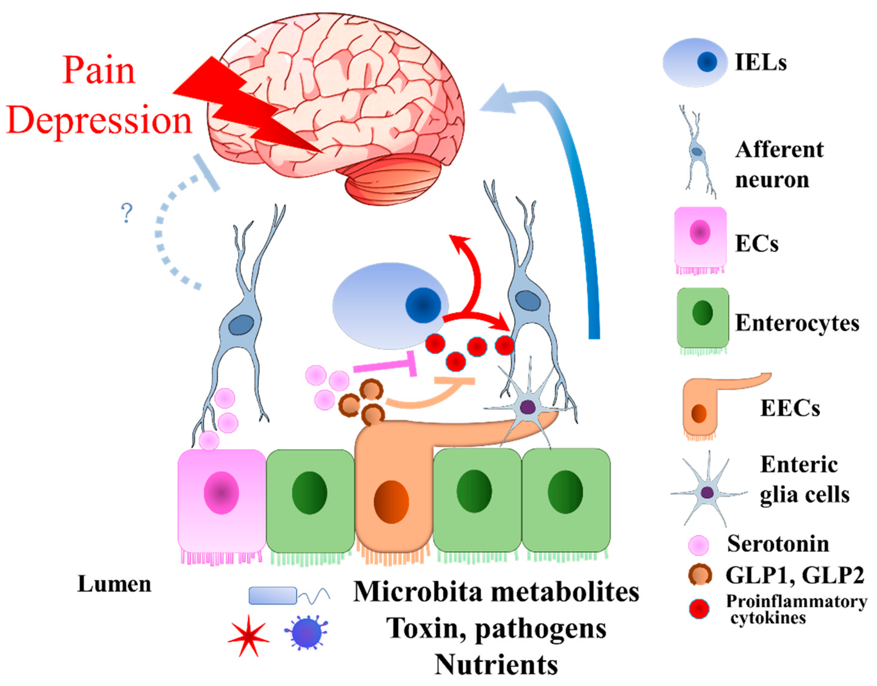 Biomedicines 10 02577 g004
