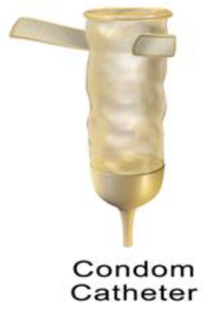 Biomedicines 10 02580 g004