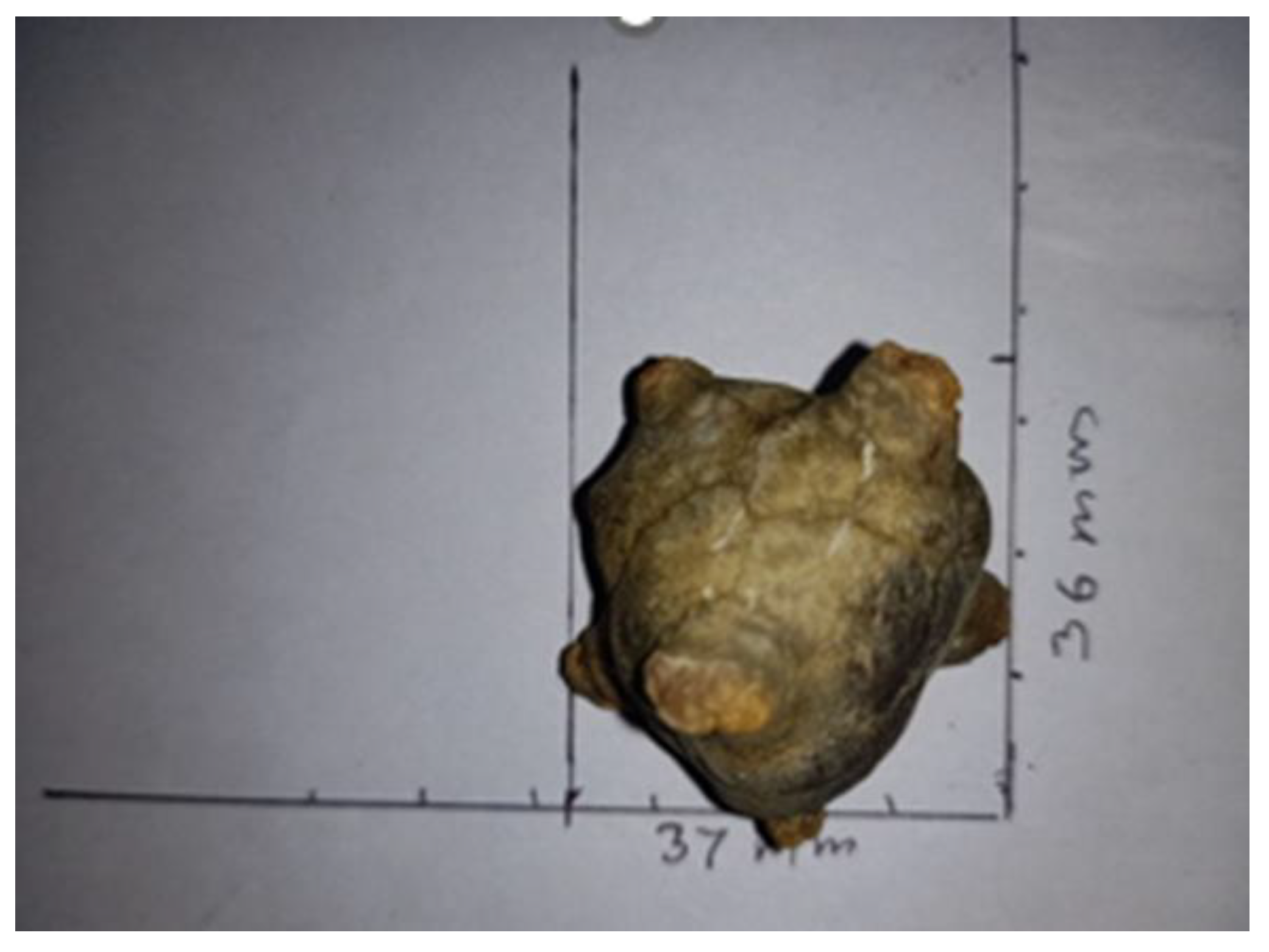 Biomedicines 10 02580 g005