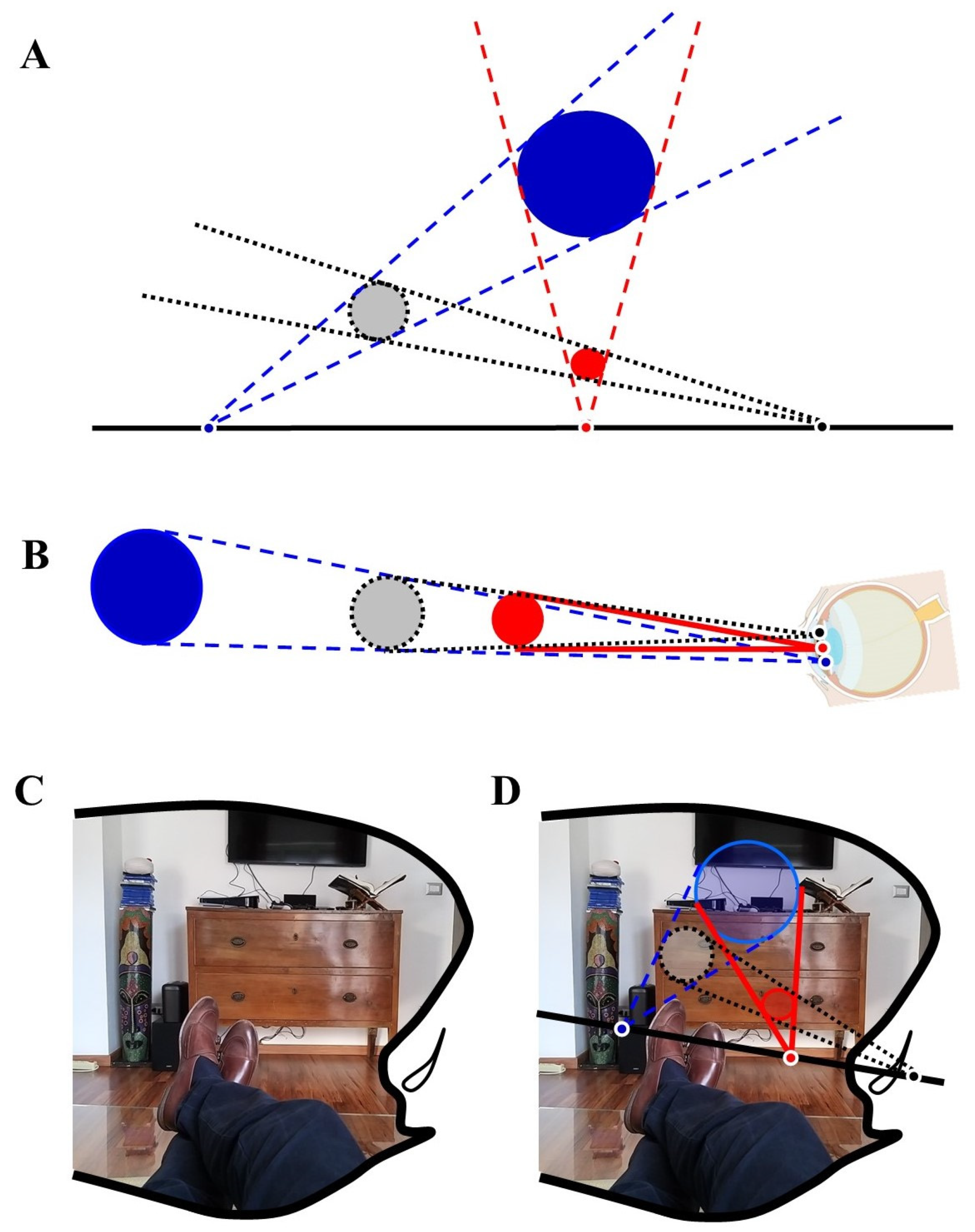 Biomedicines 10 02581 g003