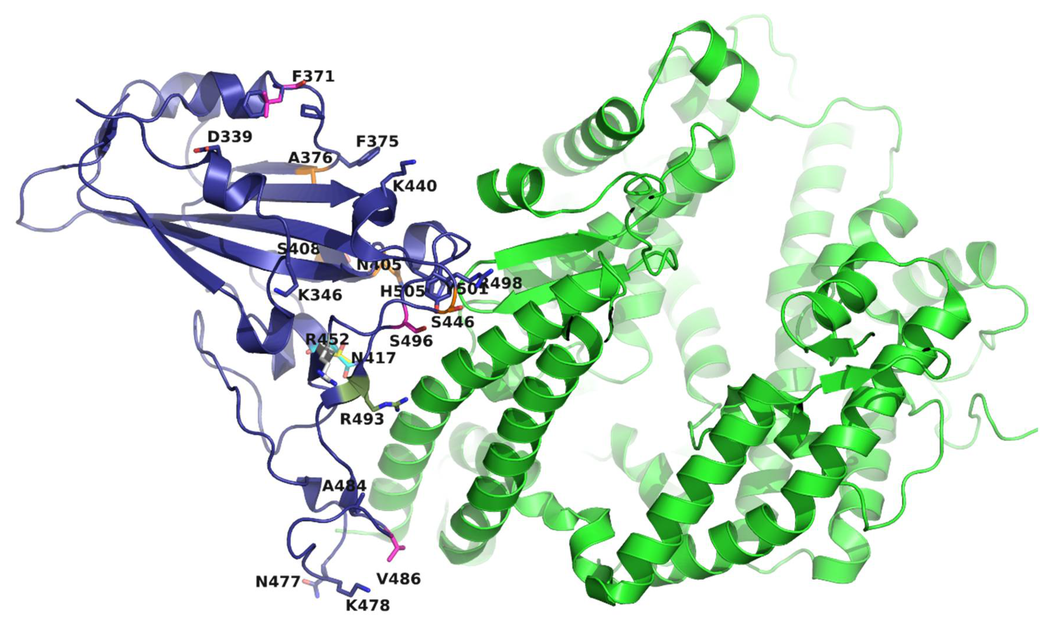 Biomedicines 10 02593 g002 Biomedicines 10 02593 g002