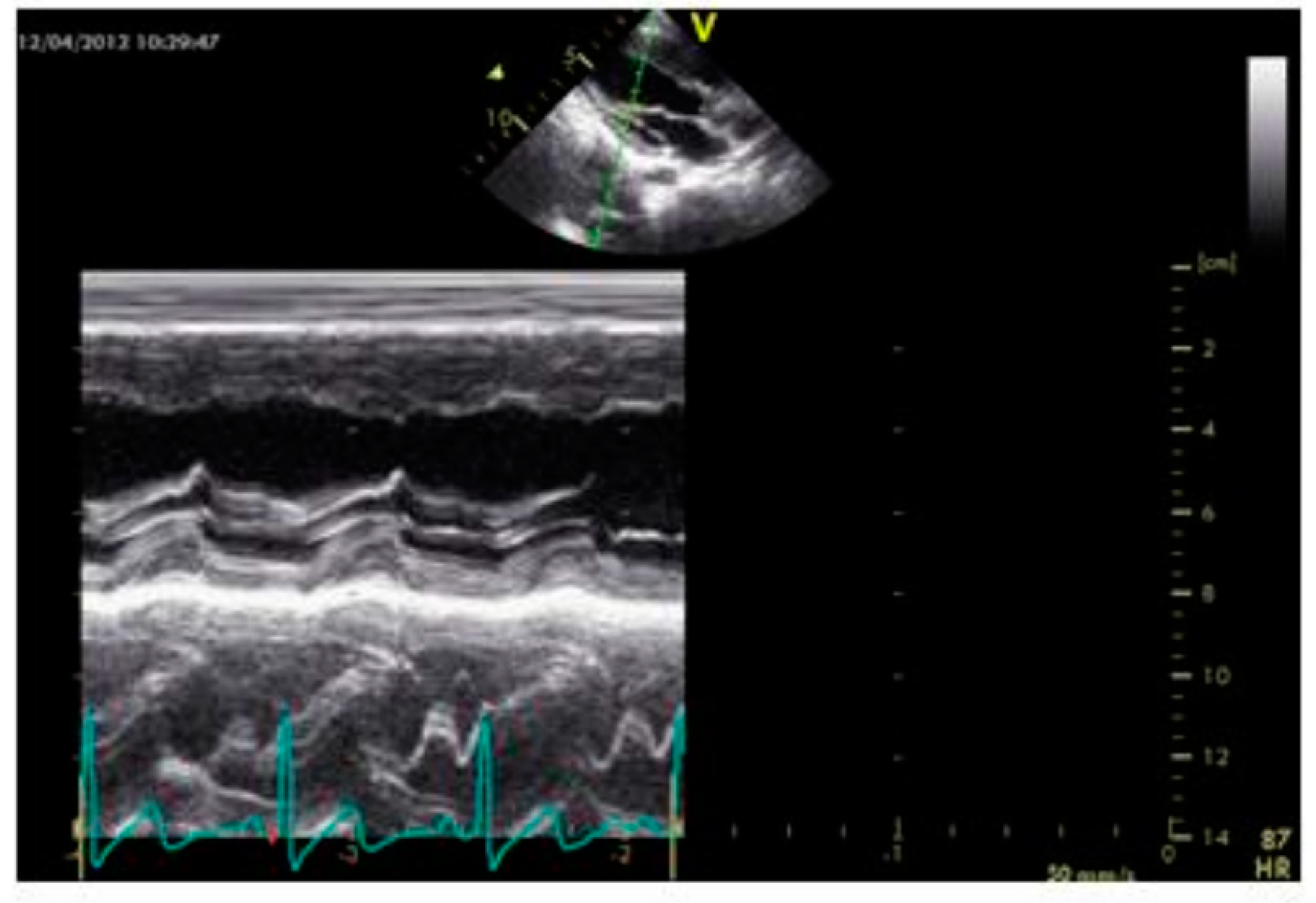 Biomedicines 10 02601 g006