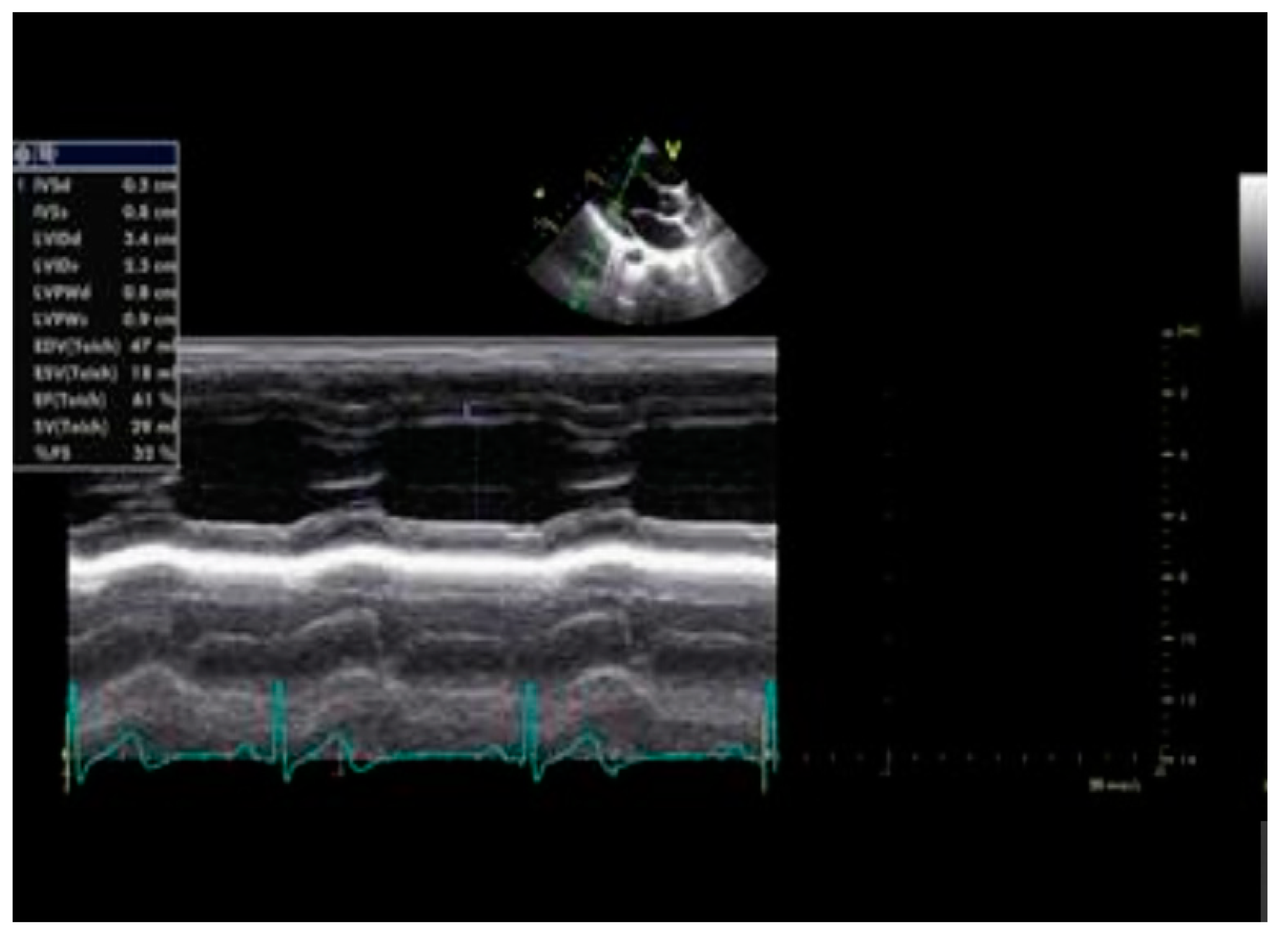 Biomedicines 10 02601 g007