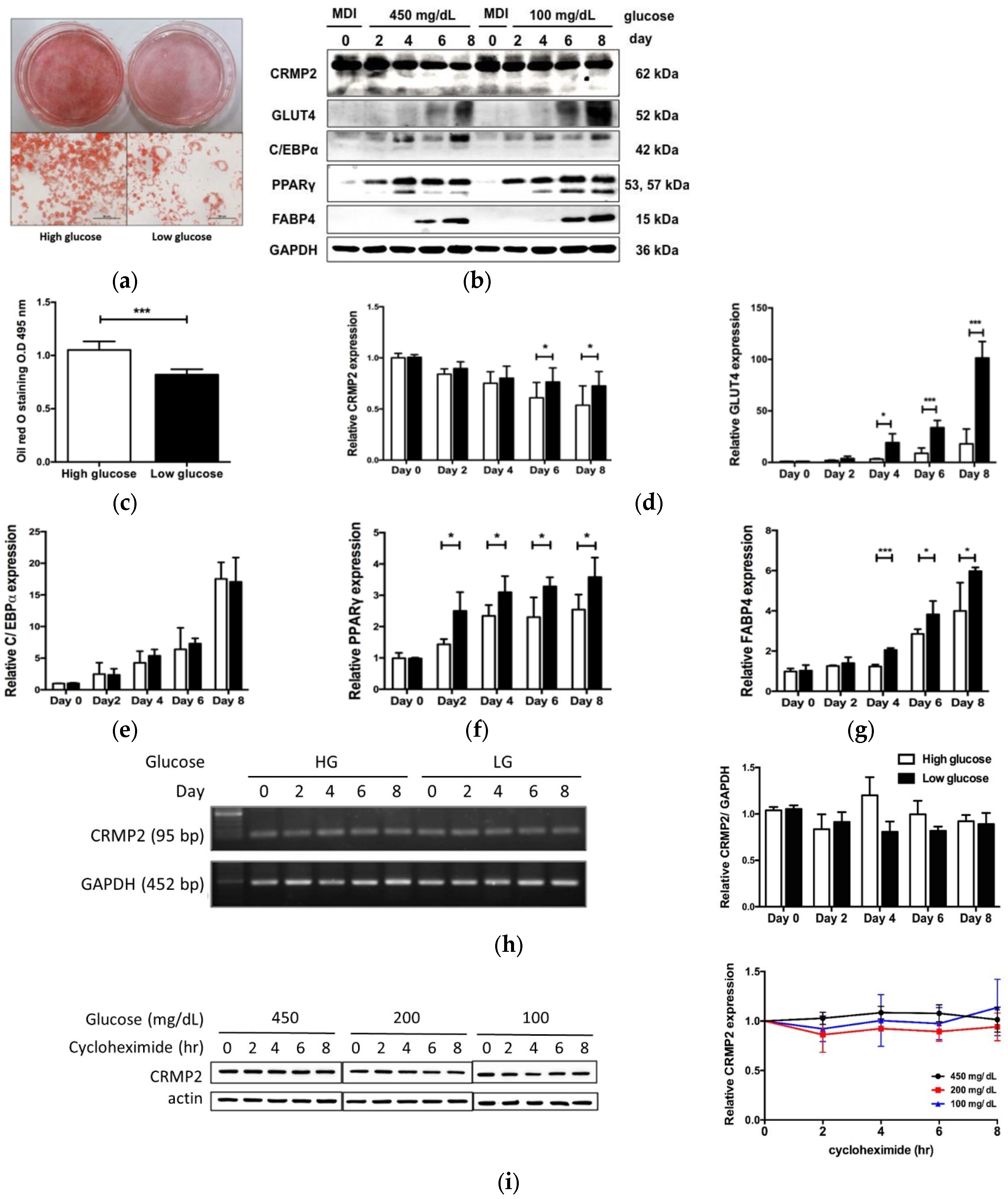 Biomedicines 10 02603 g005