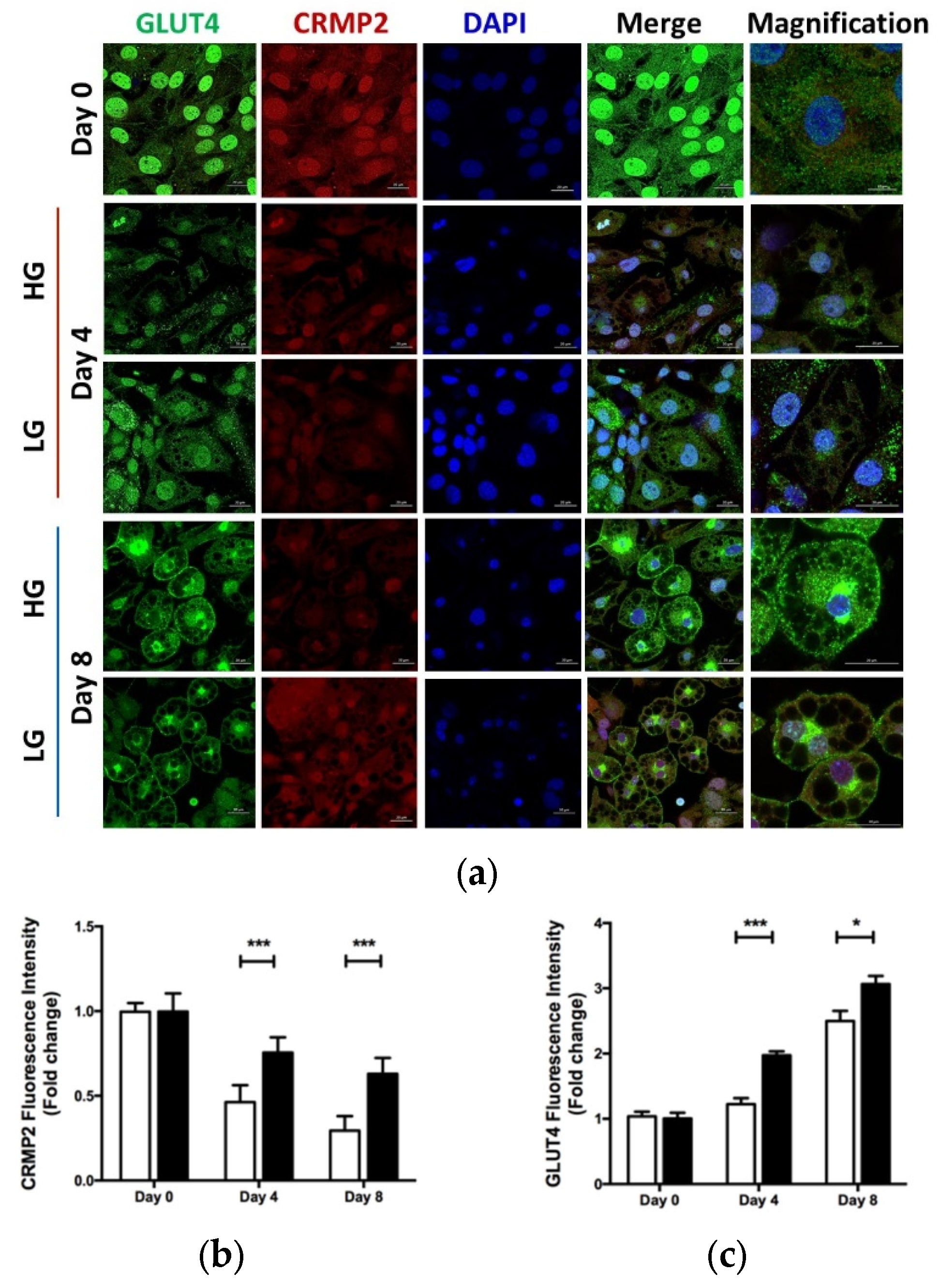 Biomedicines 10 02603 g006
