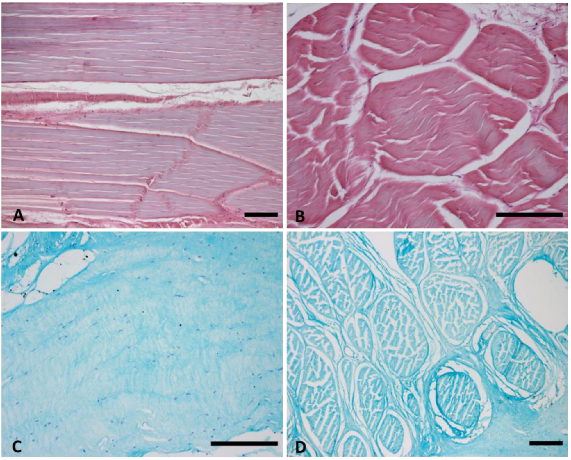 Biomedicines 10 02608 g002 Biomedicines 10 02608 g002