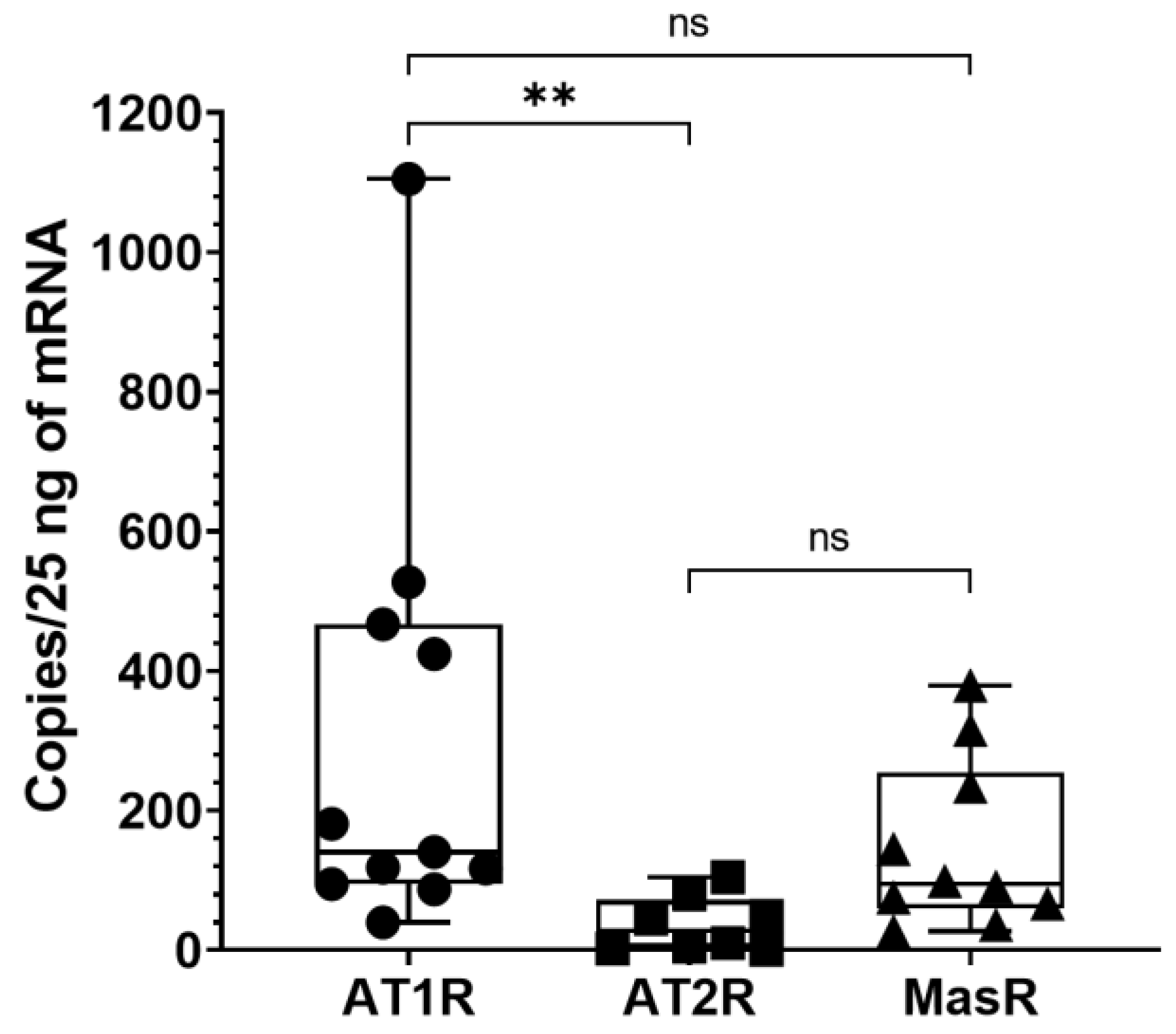 Biomedicines 10 02608 g004 Biomedicines 10 02608 g004