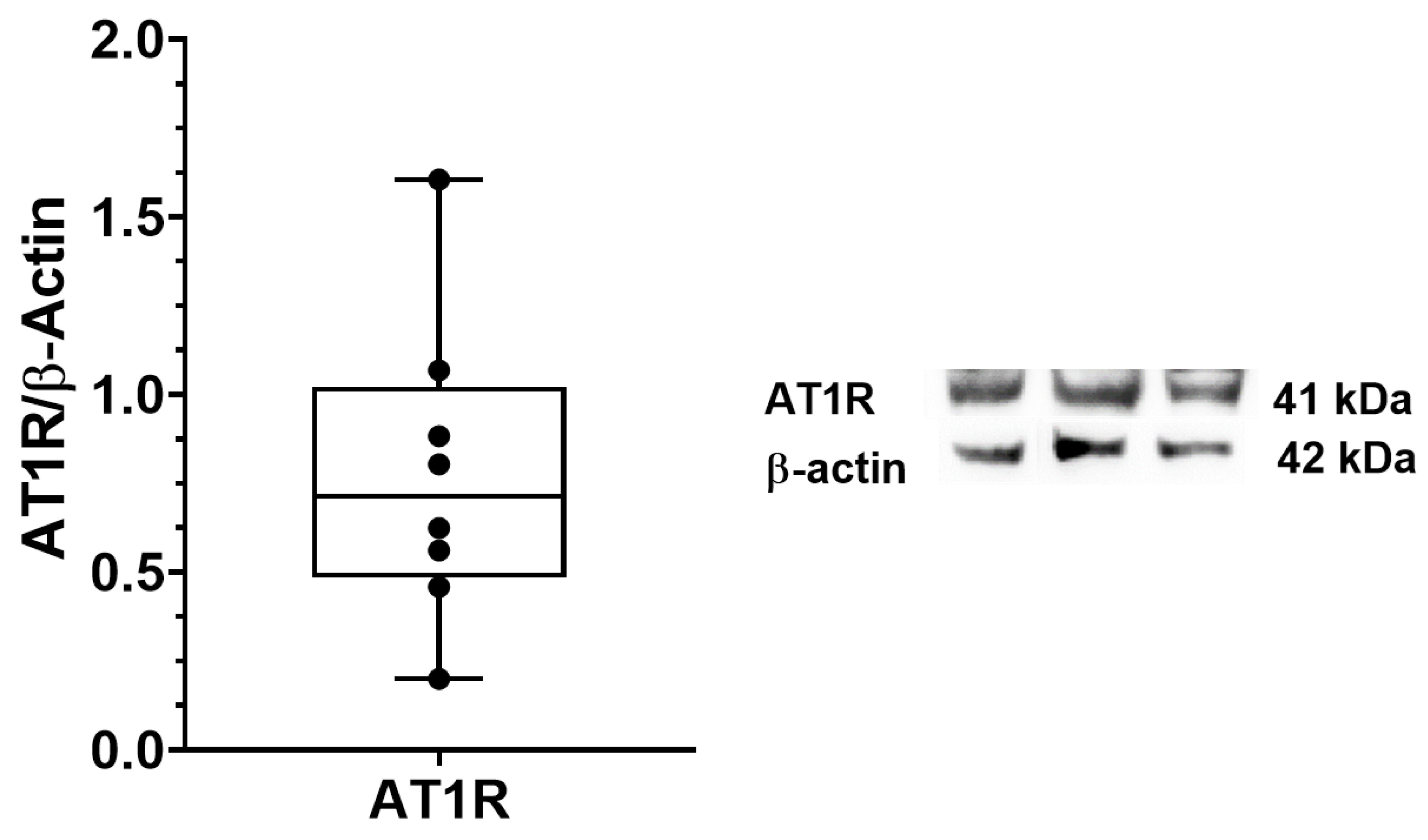 Biomedicines 10 02608 g005 Biomedicines 10 02608 g005