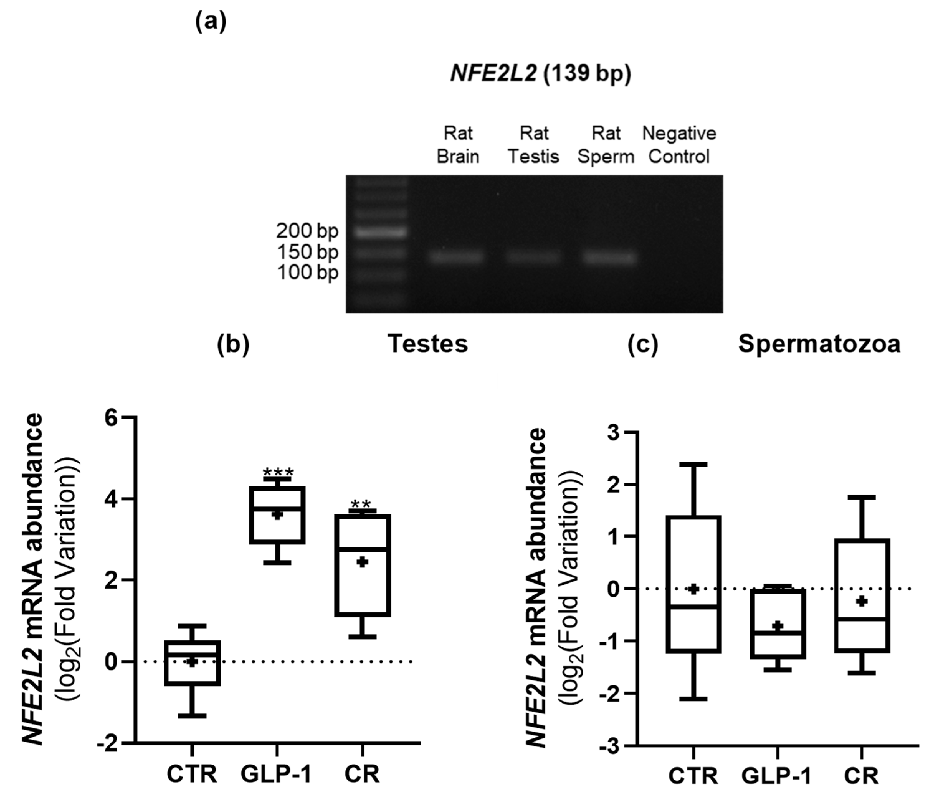 Biomedicines 10 02609 g007