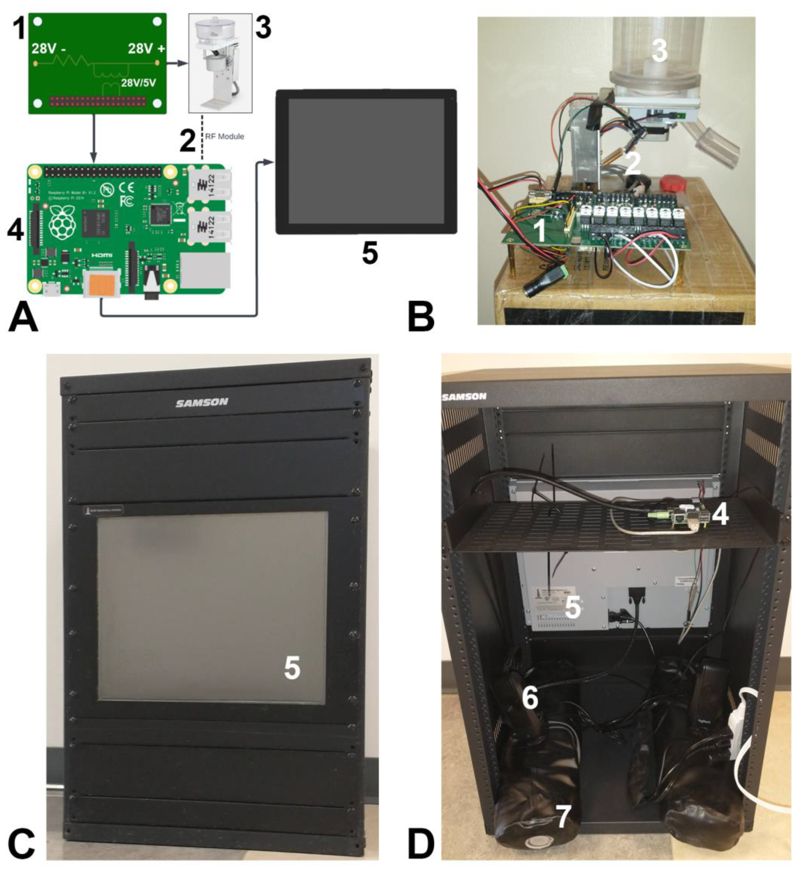 Biomedicines 10 02612 g001 Biomedicines 10 02612 g001