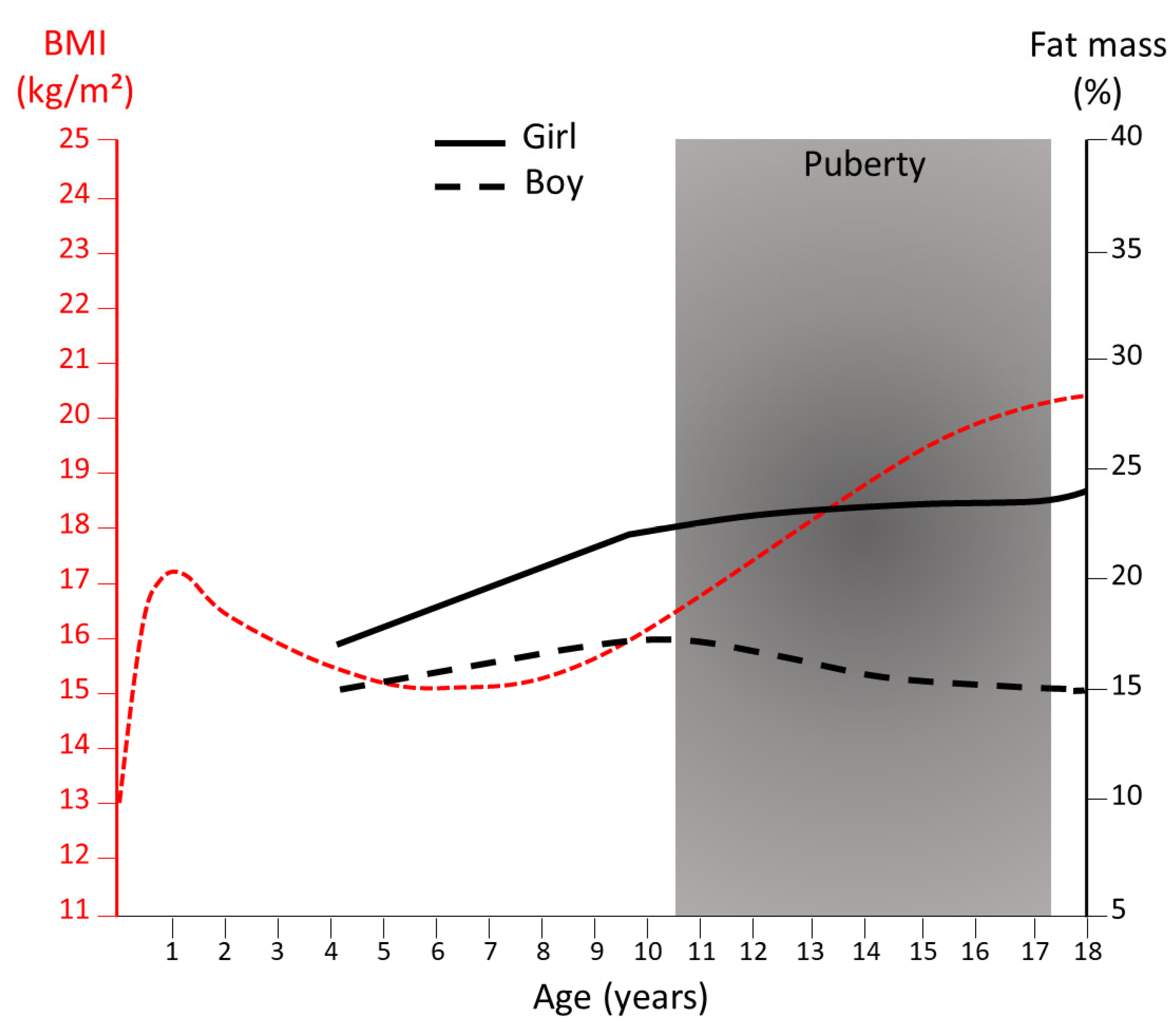 body atlas in the womb reaction paper