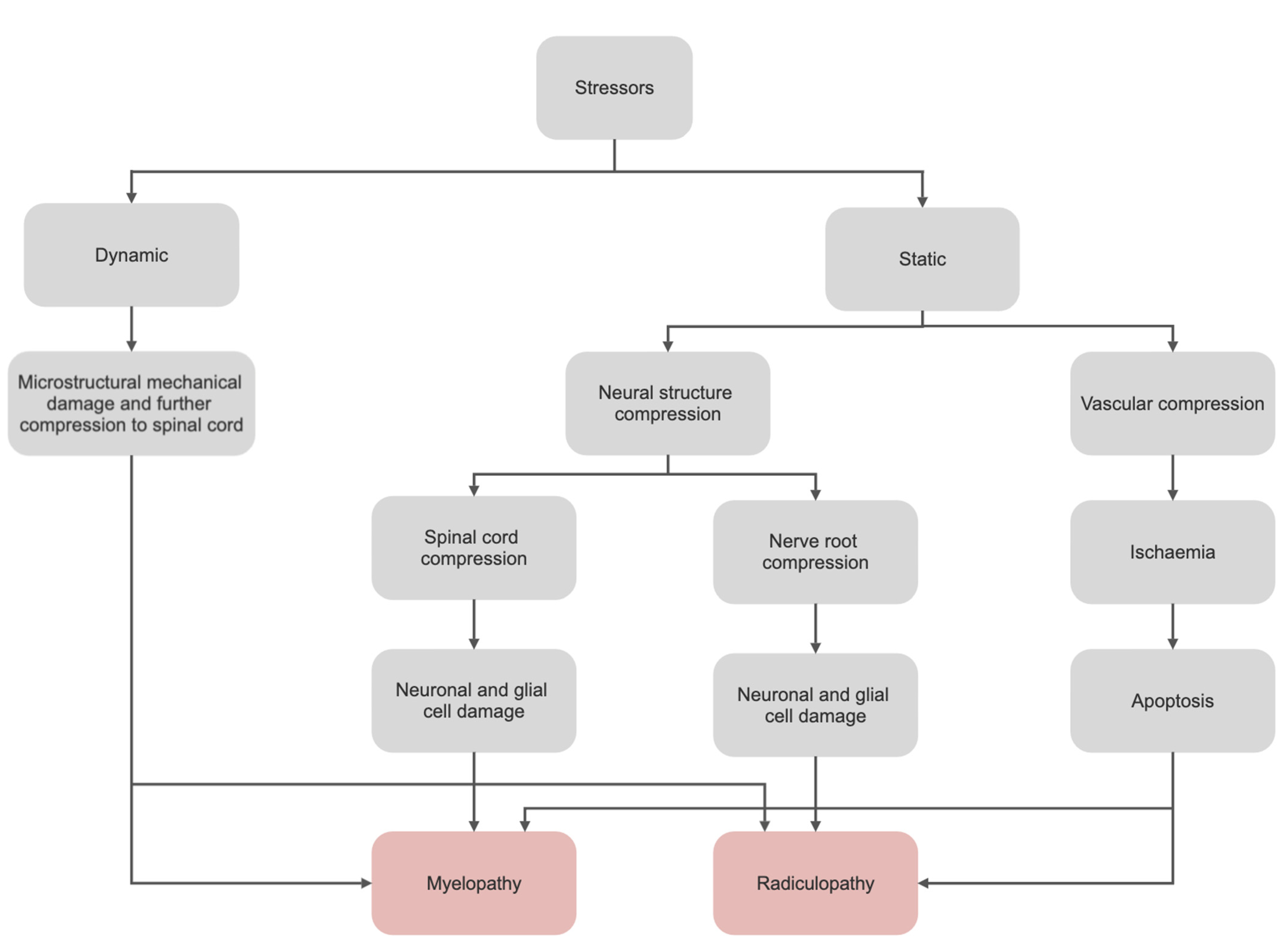 Biomedicines, Free Full-Text