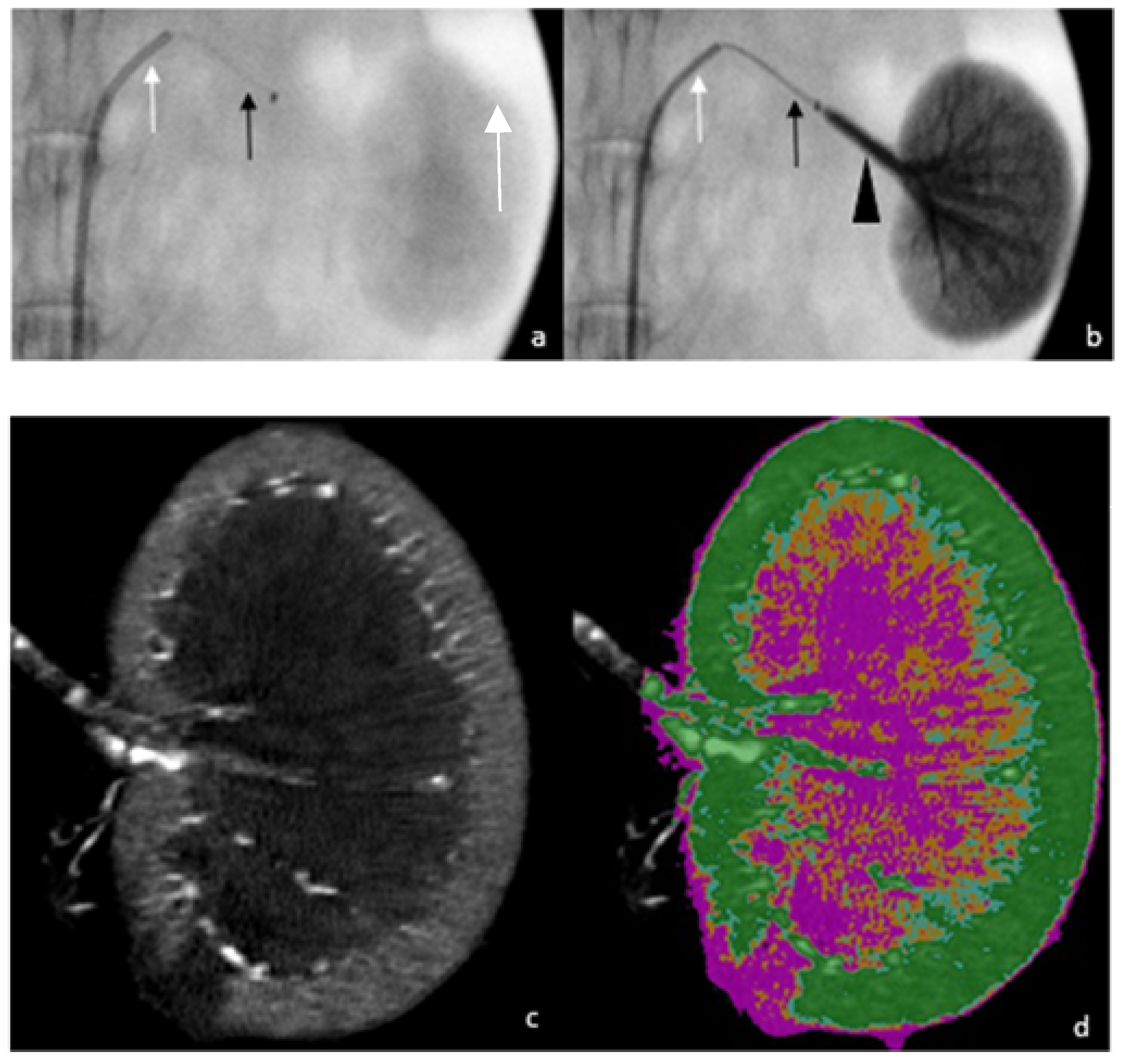 Biomedicines 10 02625 g001a Biomedicines 10 02625 g001a