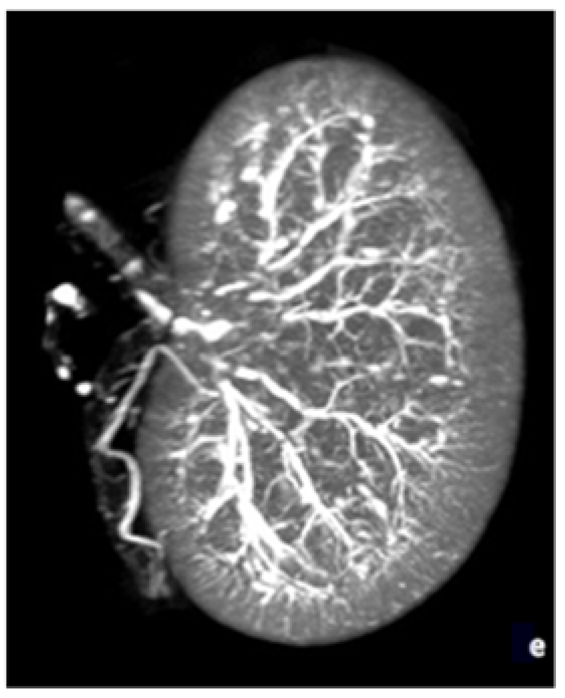 Biomedicines 10 02625 g001b Biomedicines 10 02625 g001b