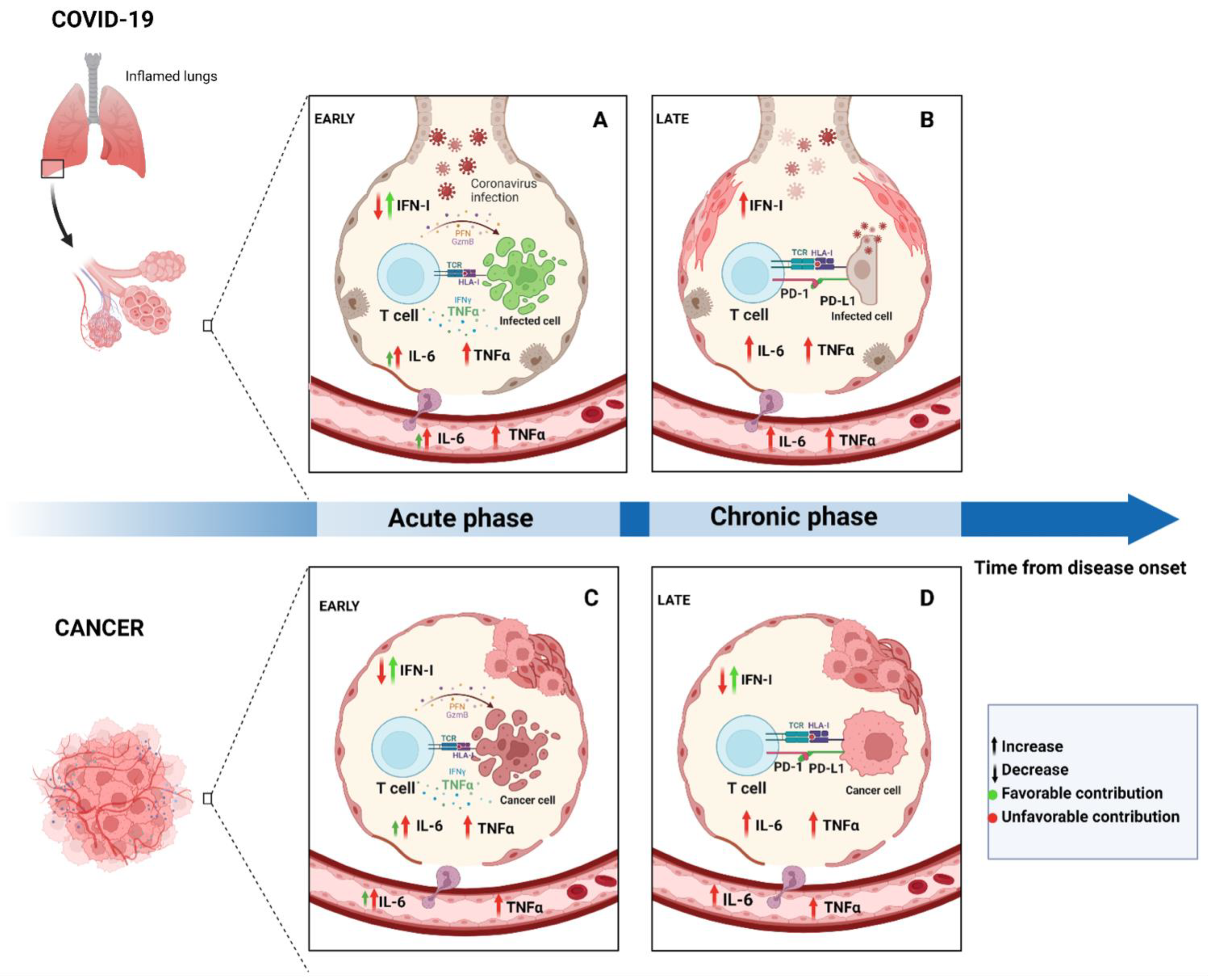 Biomedicines 10 02628 g001