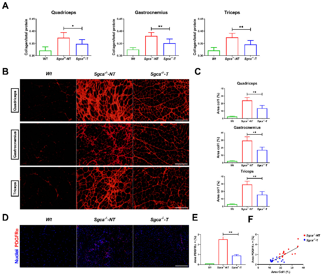 Biomedicines 10 02629 g002