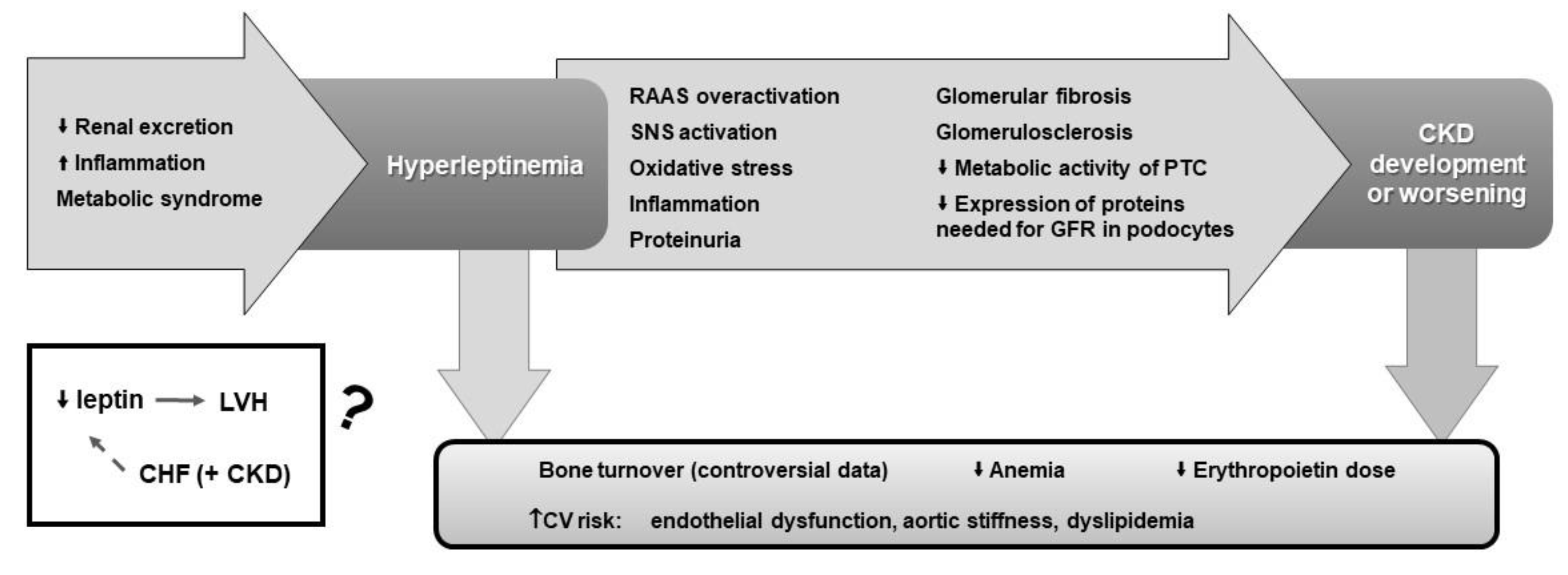 Biomedicines 10 02642 g004