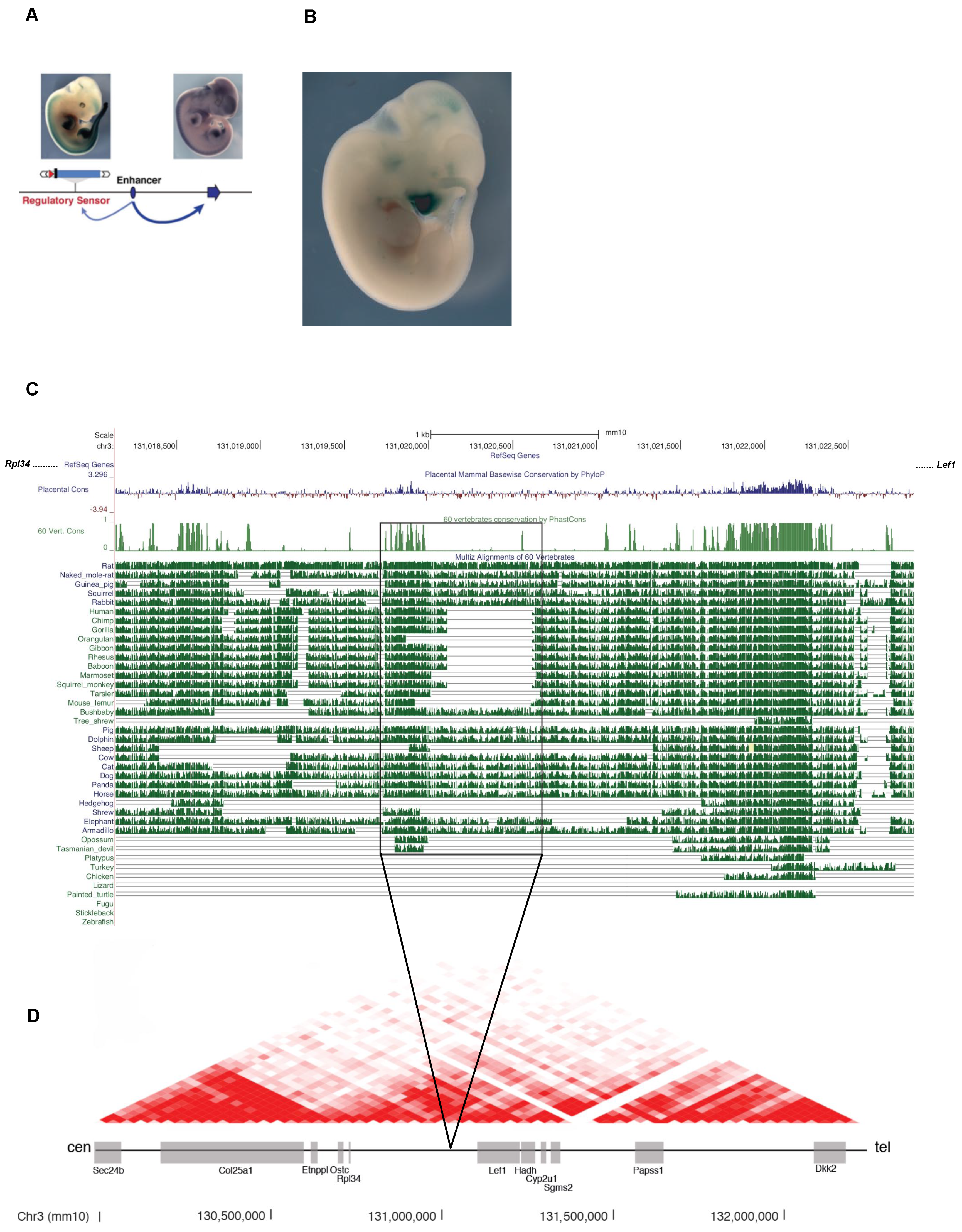 Biomedicines 10 02647 g006 Biomedicines 10 02647 g006