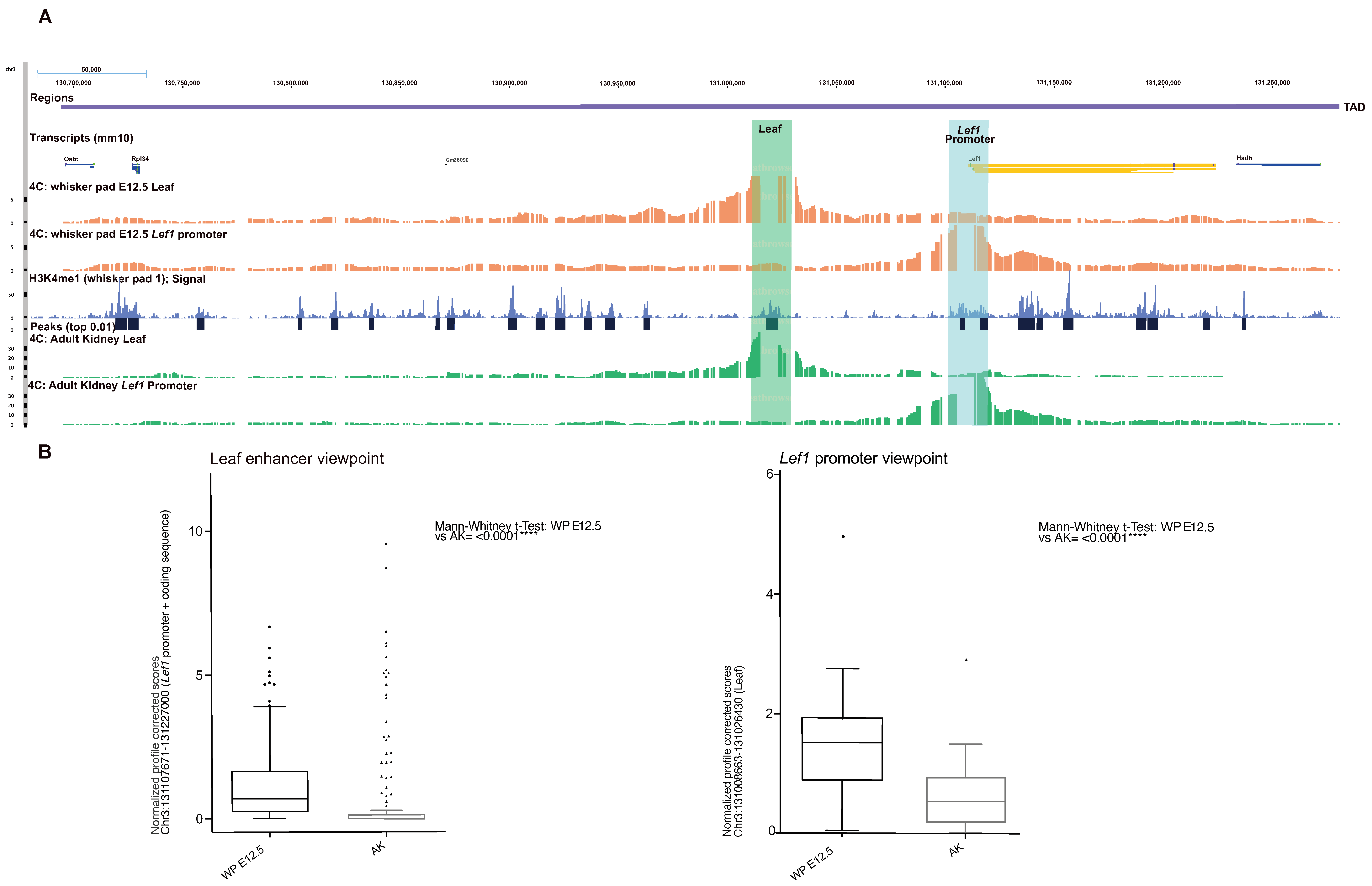 Biomedicines 10 02647 g007 Biomedicines 10 02647 g007