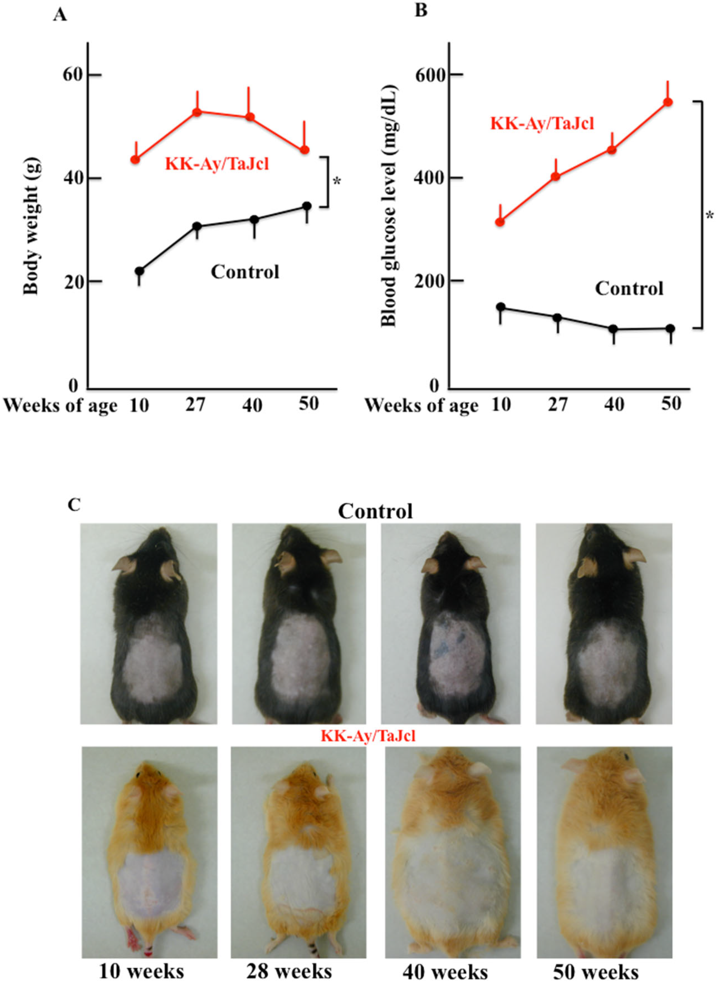 Biomedicines 10 02648 g001 Biomedicines 10 02648 g001