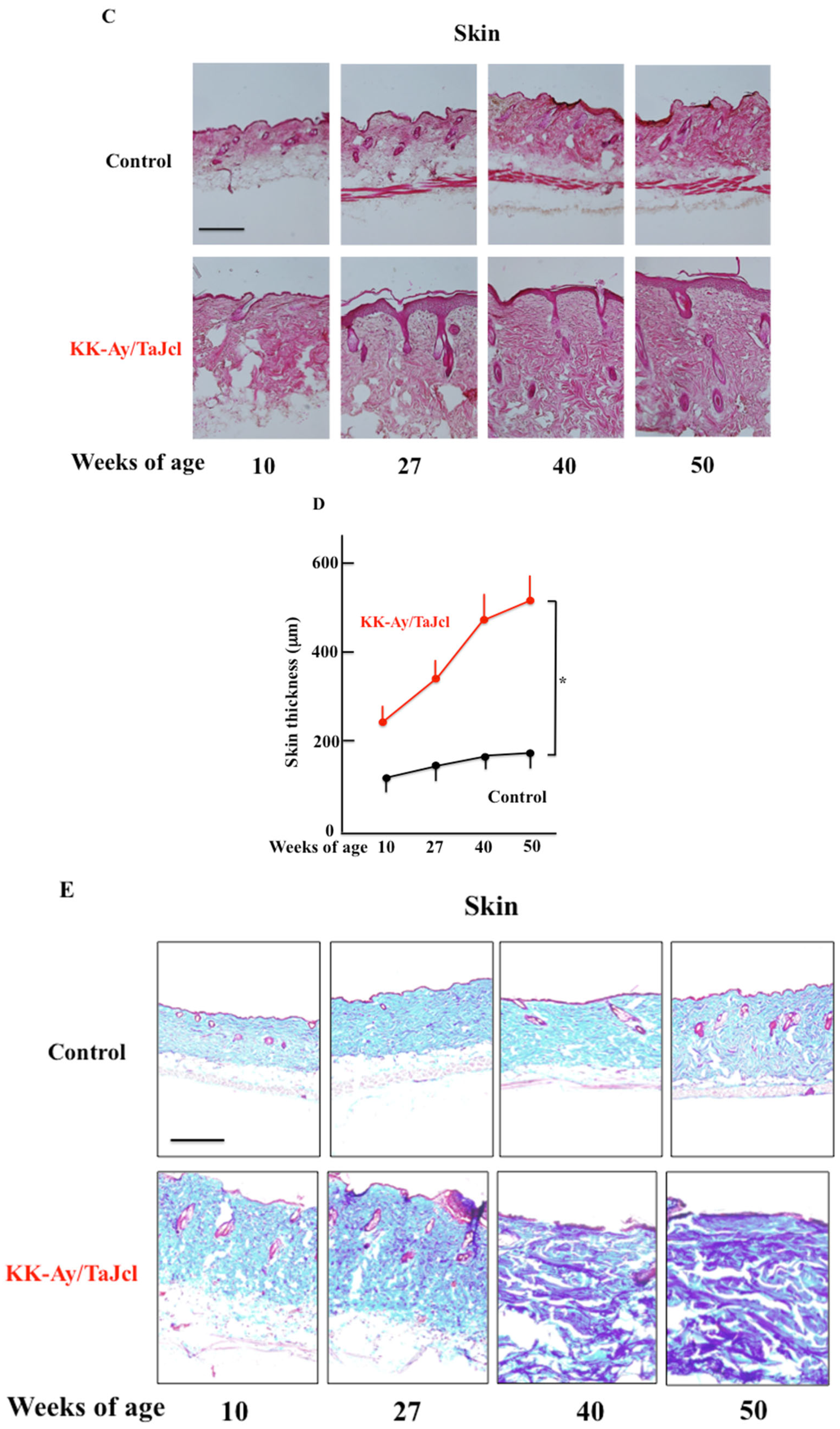 Biomedicines 10 02648 g002b Biomedicines 10 02648 g002b