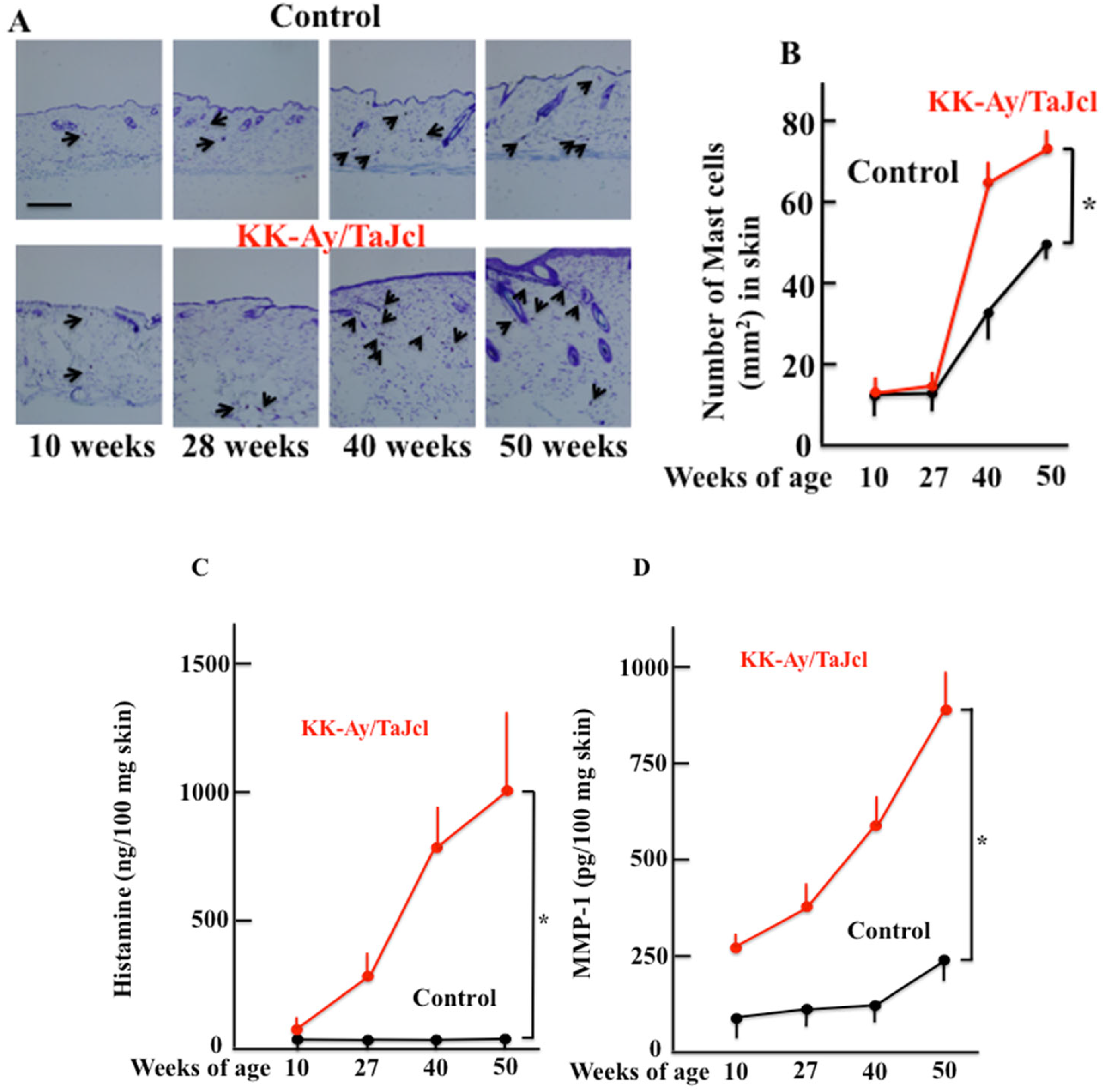 Biomedicines 10 02648 g003 Biomedicines 10 02648 g003