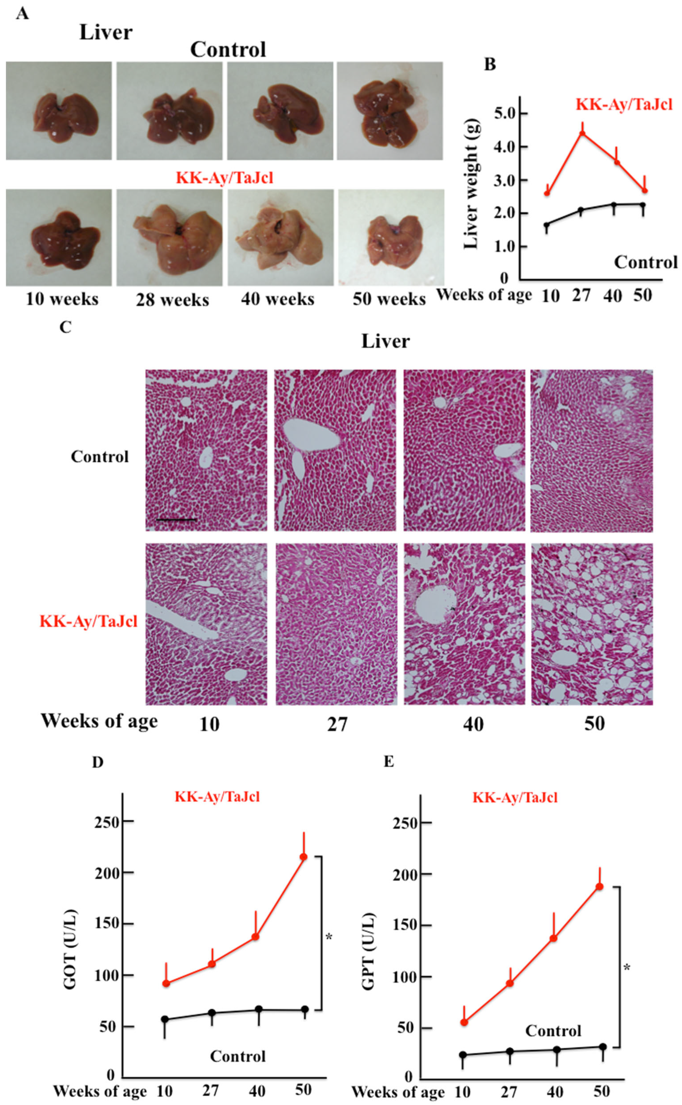 Biomedicines 10 02648 g006 Biomedicines 10 02648 g006