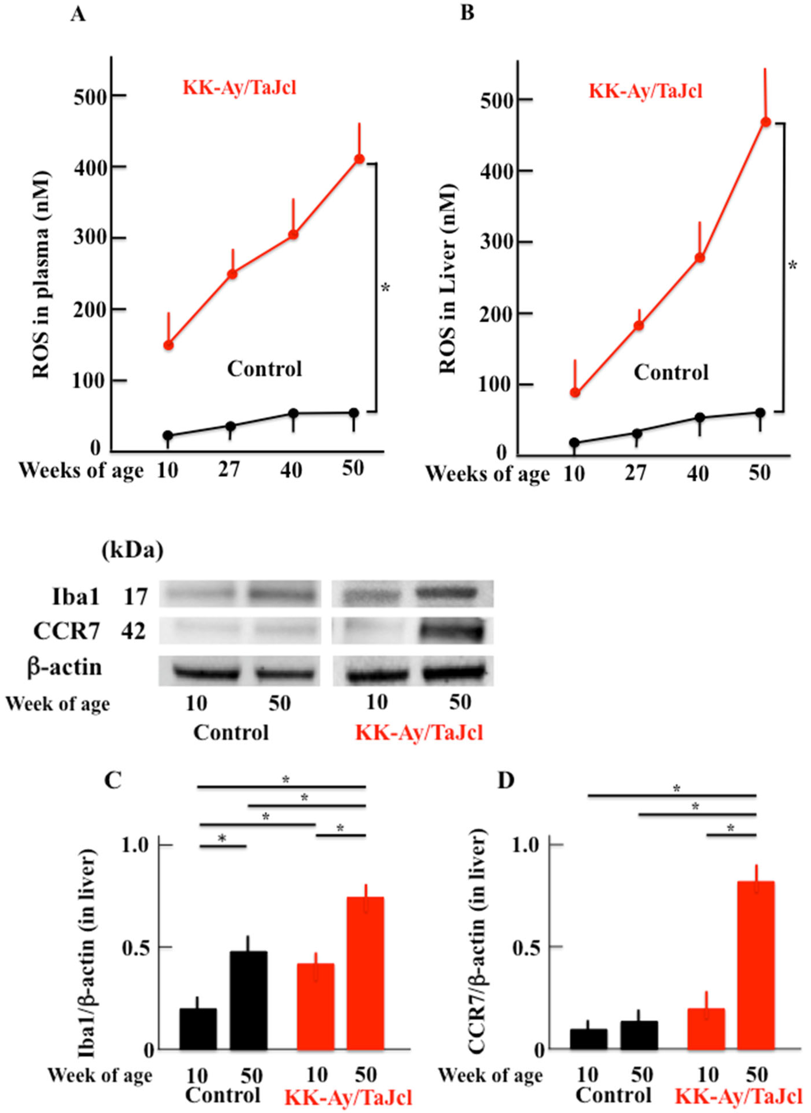 Biomedicines 10 02648 g007a Biomedicines 10 02648 g007a