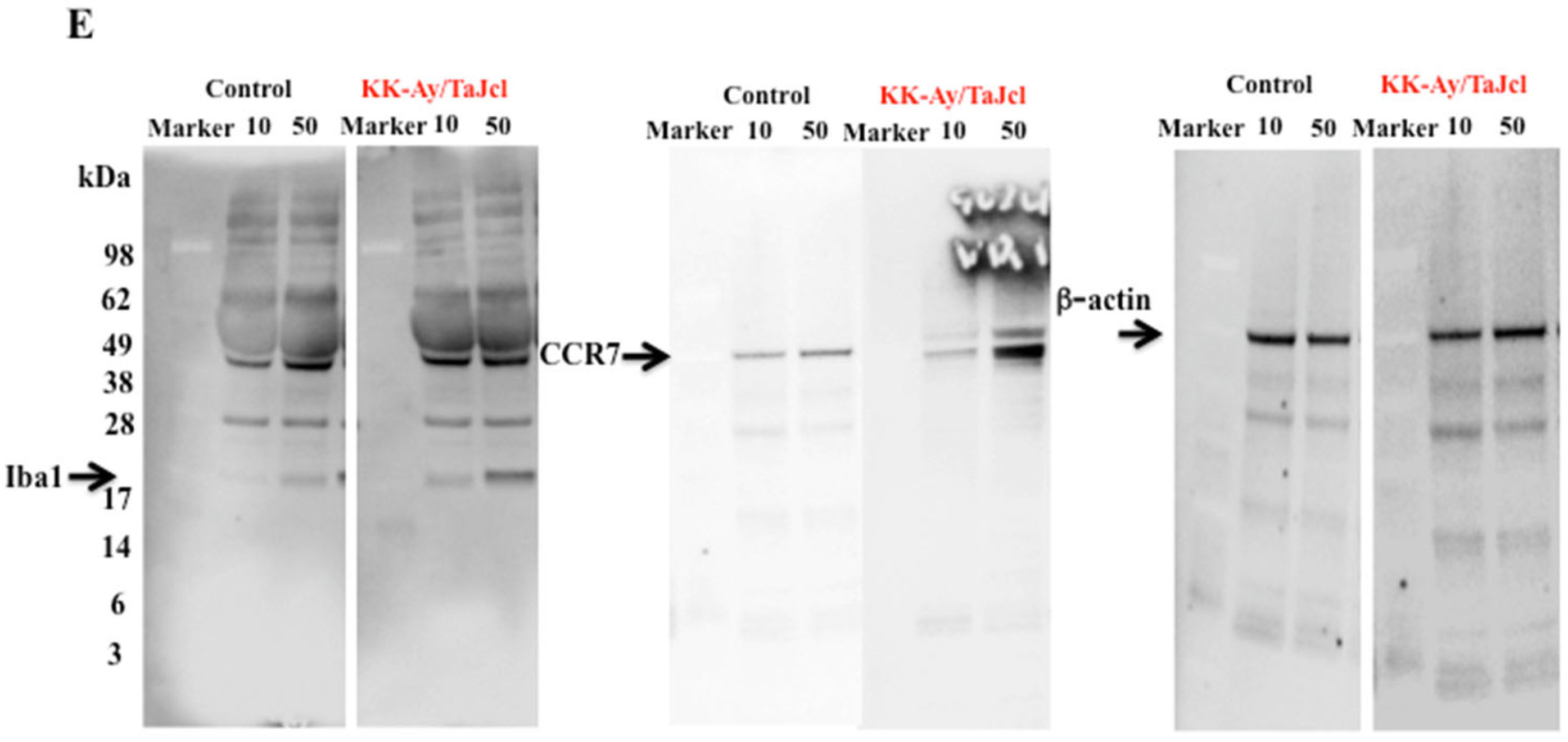 Biomedicines 10 02648 g007b Biomedicines 10 02648 g007b