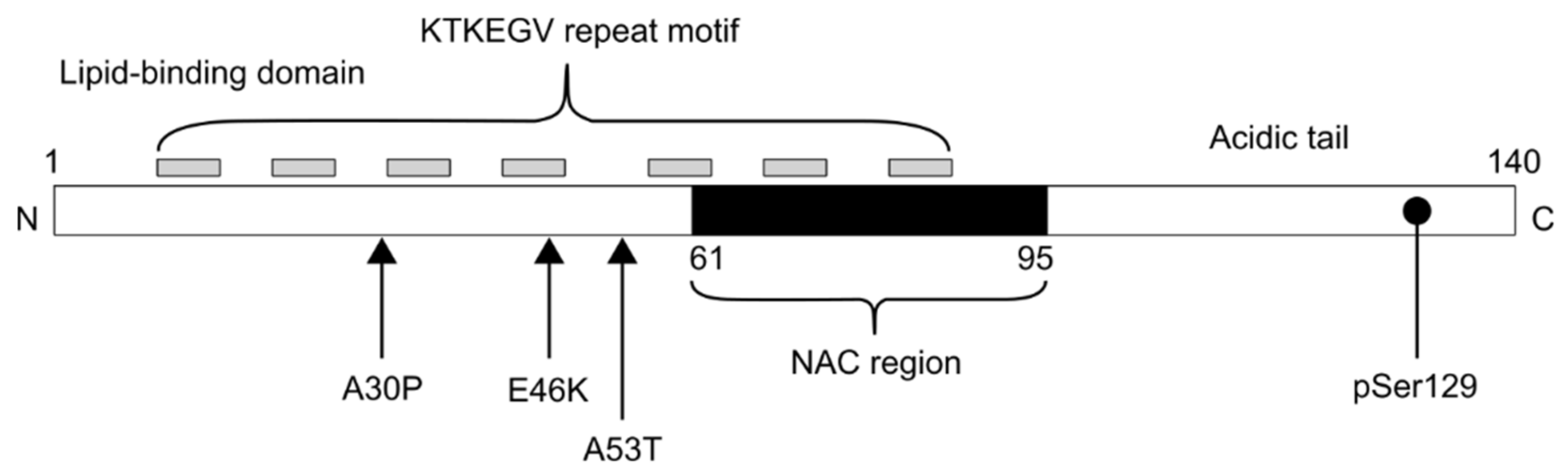 Biomedicines 10 02649 g002