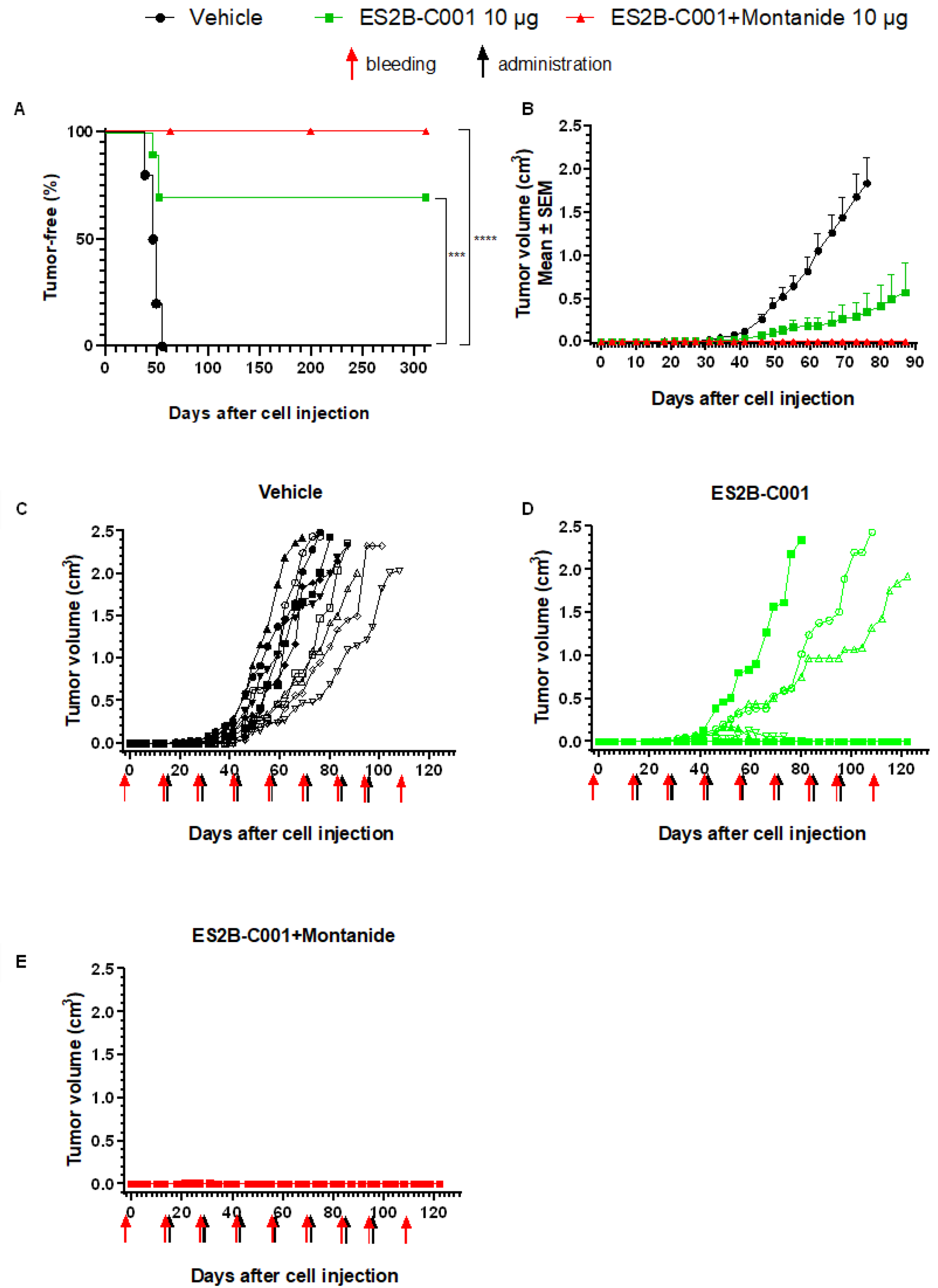 Biomedicines 10 02654 g001 Biomedicines 10 02654 g001