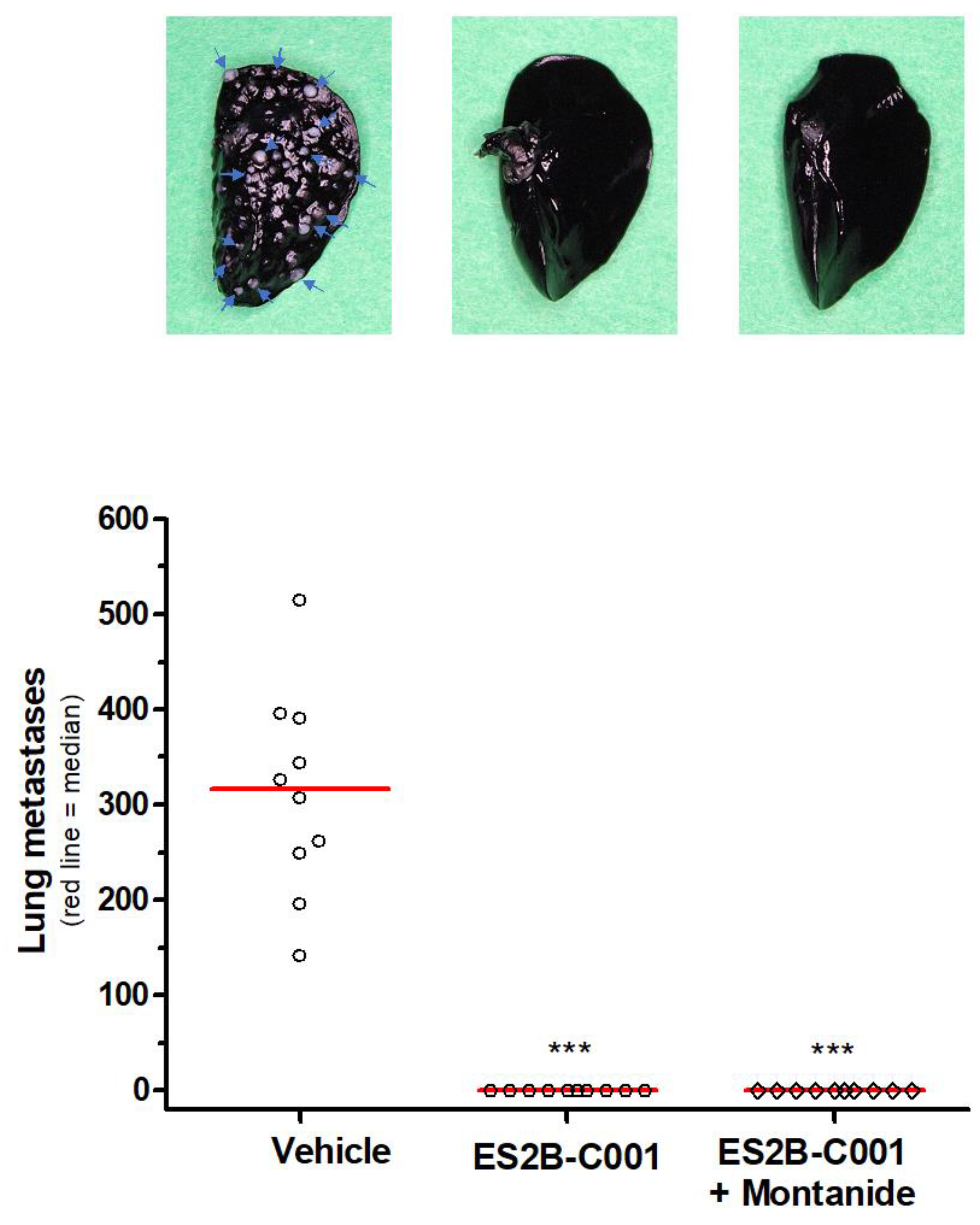 Biomedicines 10 02654 g002 Biomedicines 10 02654 g002