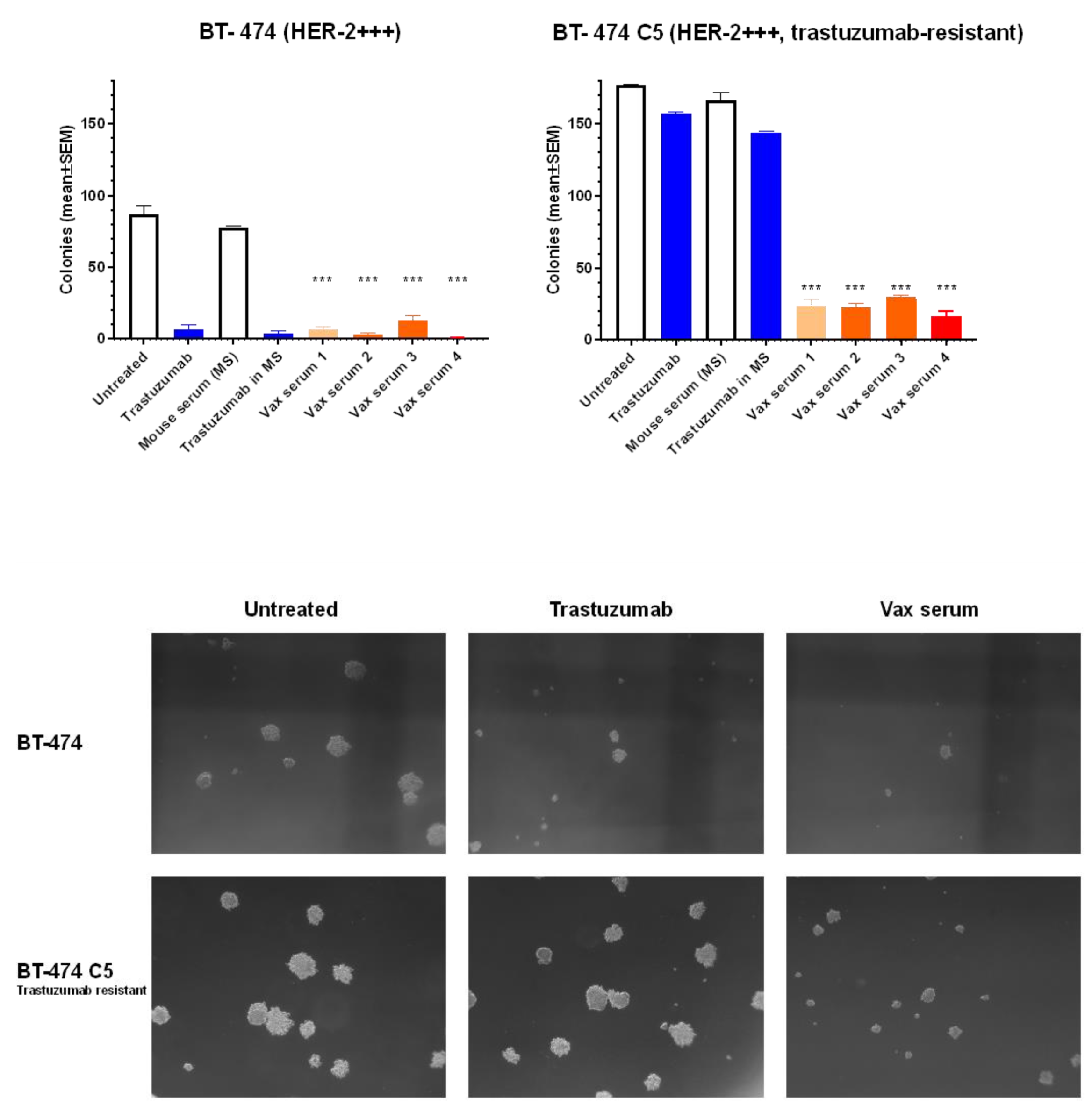 Biomedicines 10 02654 g005 Biomedicines 10 02654 g005