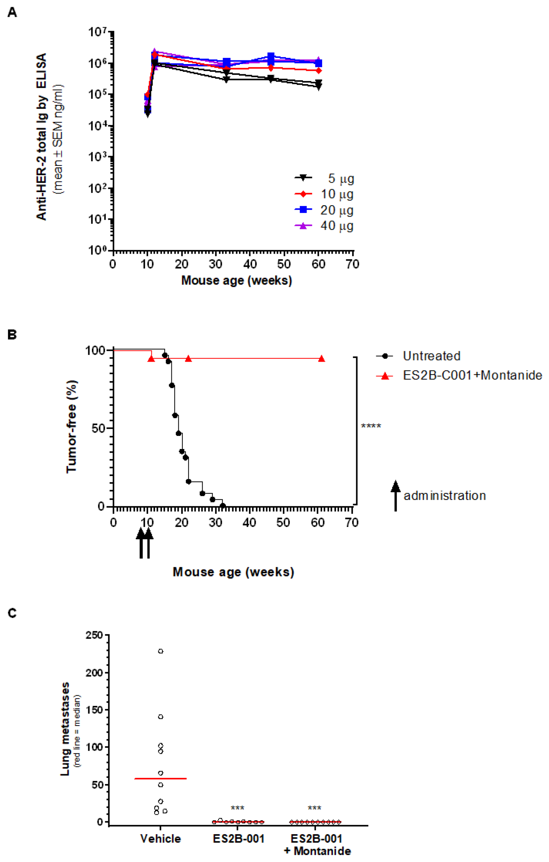 Biomedicines 10 02654 g007 Biomedicines 10 02654 g007