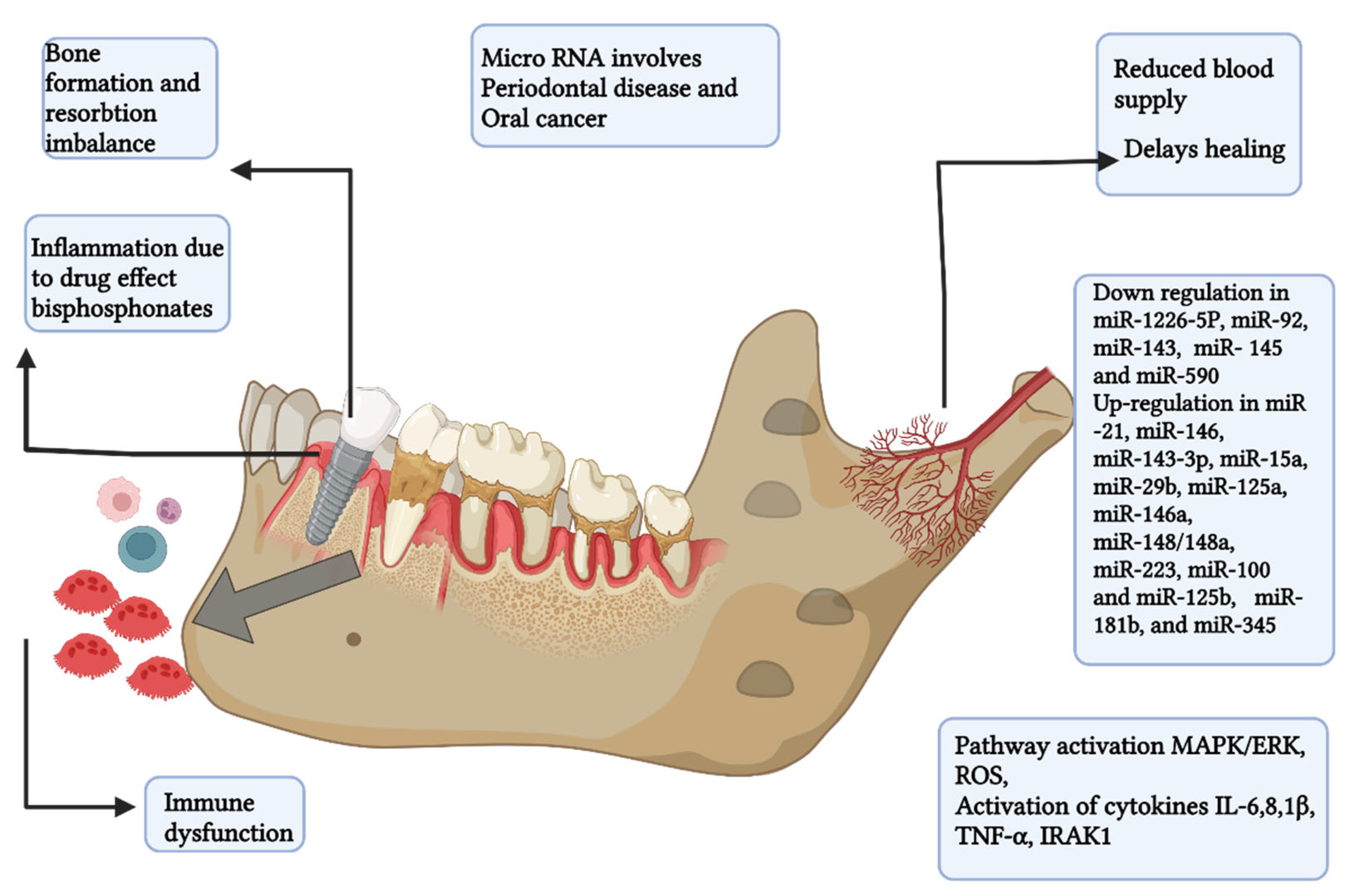 Biomedicines 10 02659 g003