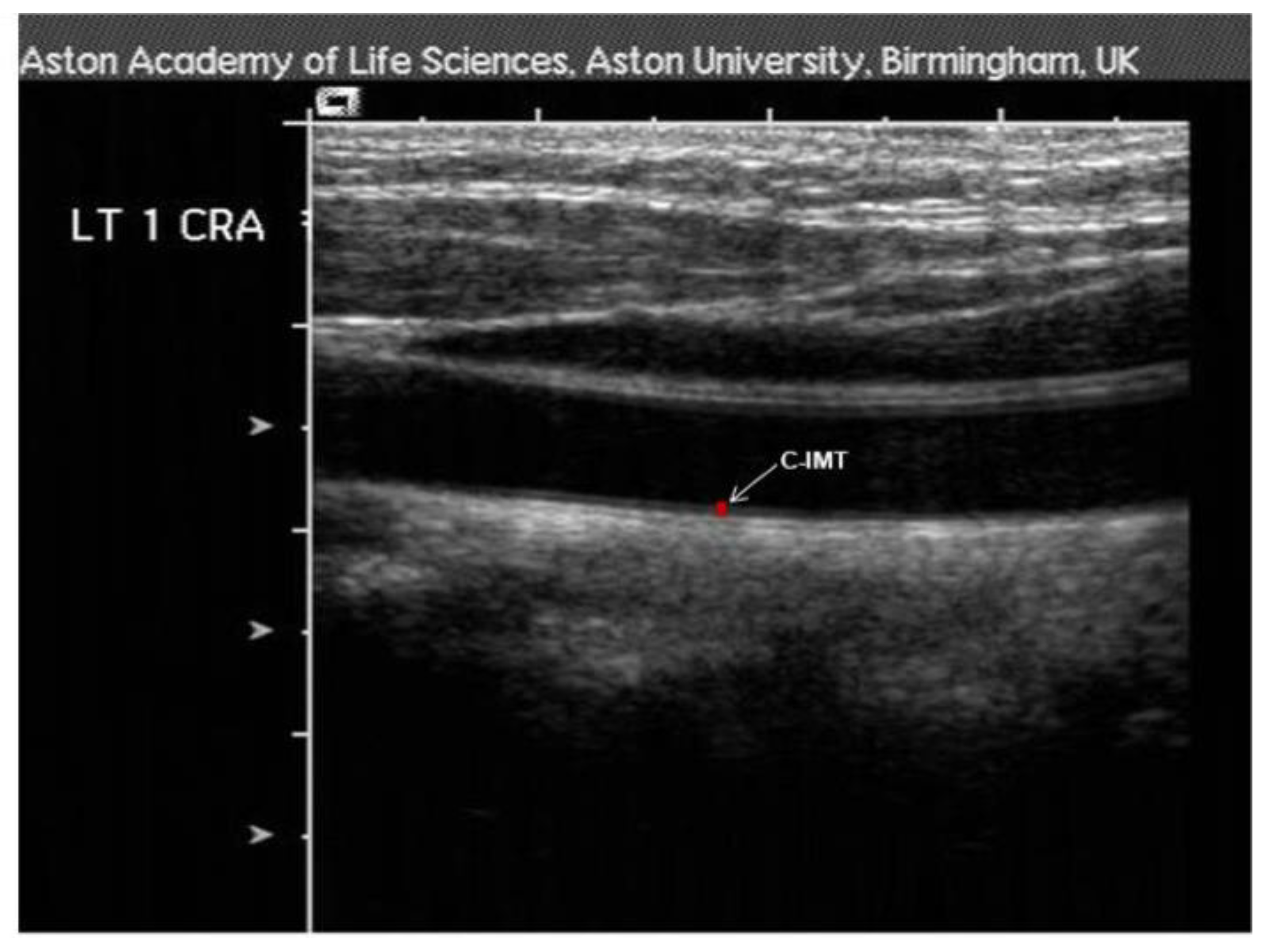 Biomedicines 10 02669 g002 Biomedicines 10 02669 g002