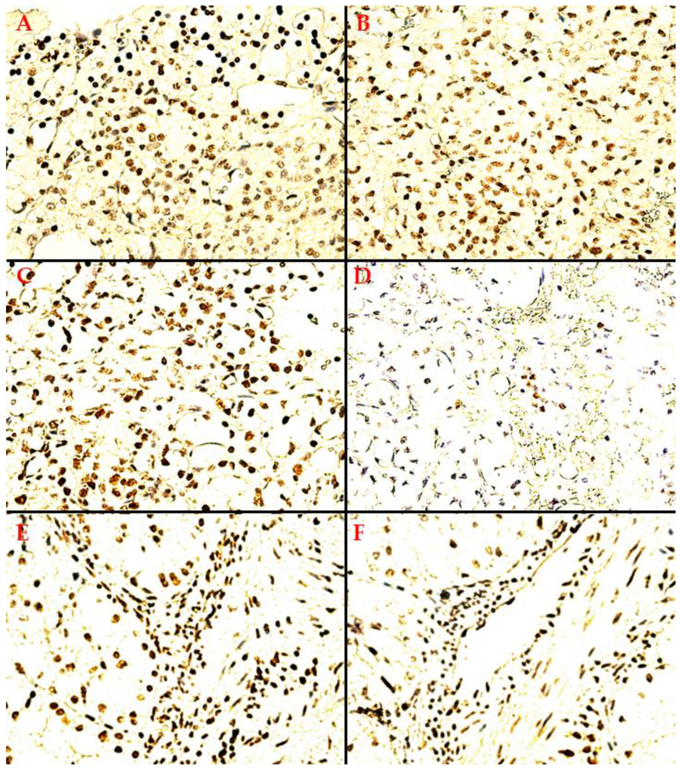 Biomedicines 10 02673 g002 Biomedicines 10 02673 g002