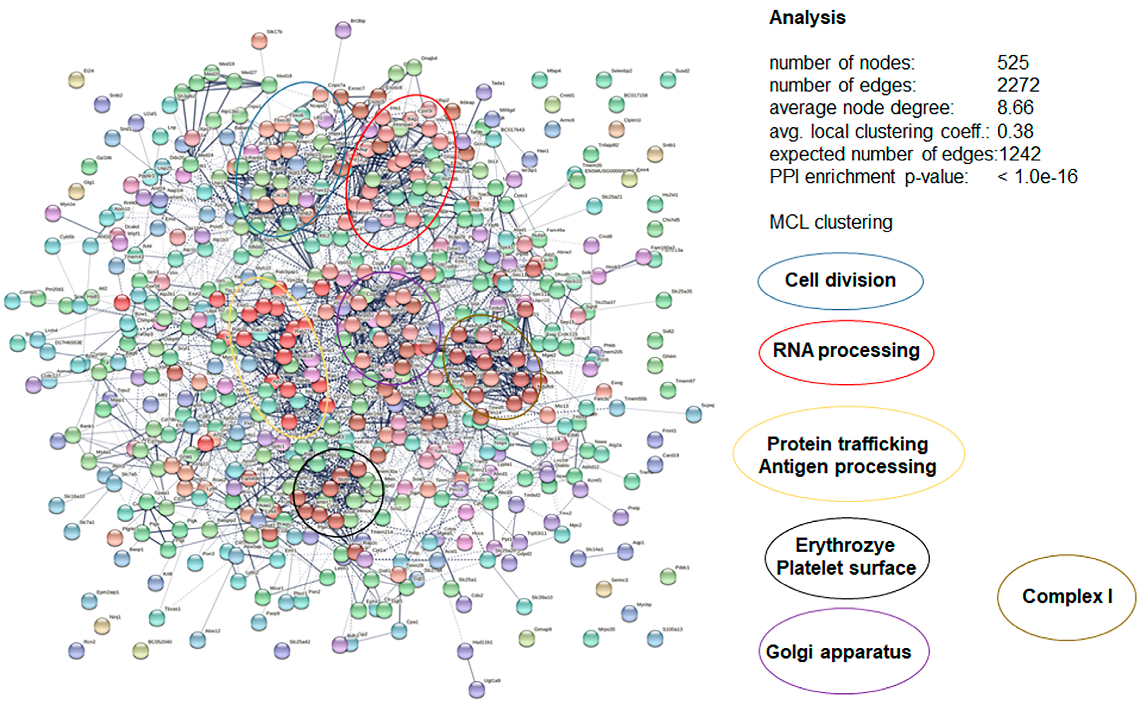 Biomedicines 10 02675 g010 Biomedicines 10 02675 g010