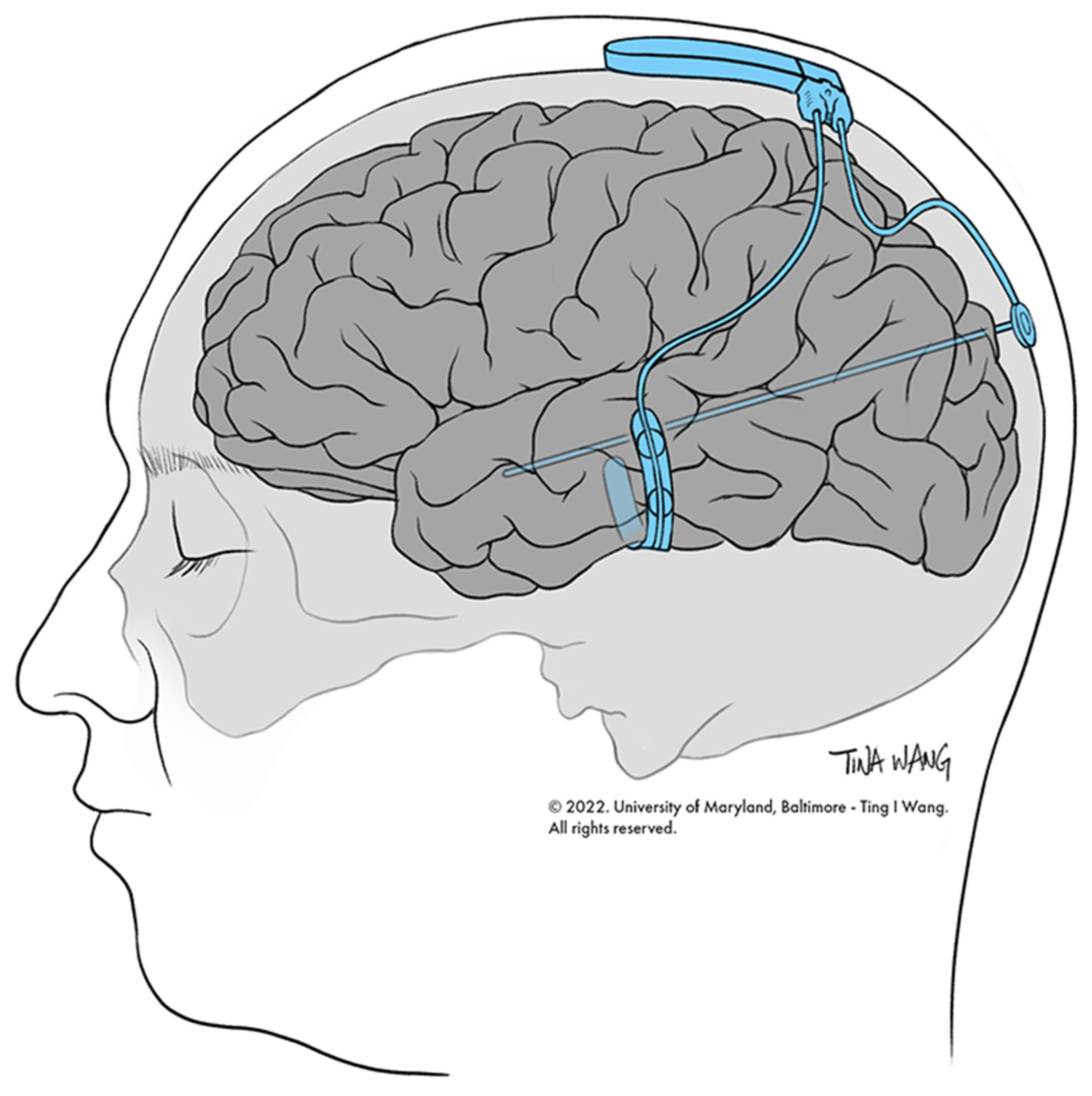 Biomedicines 10 02677 g001