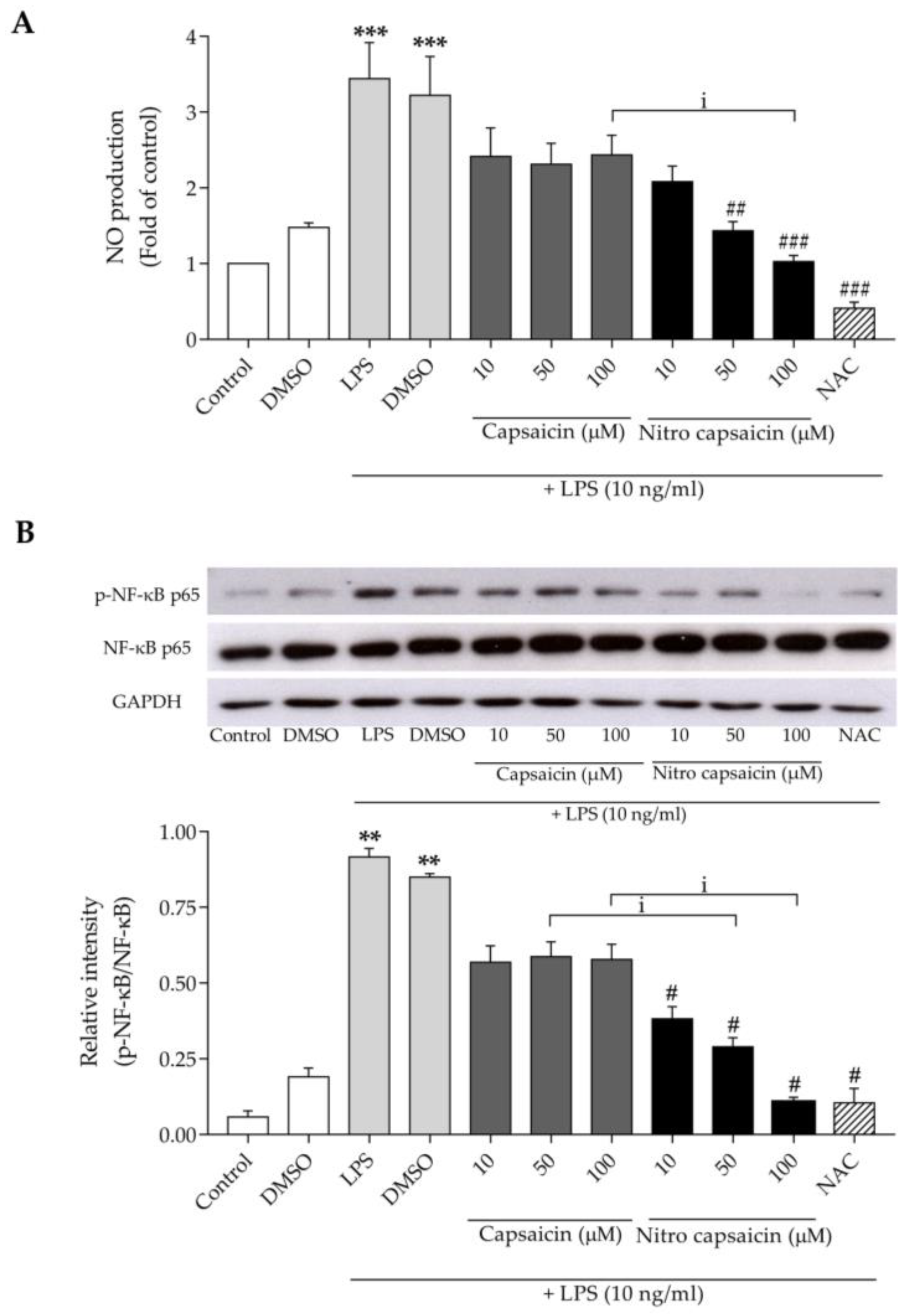 Biomedicines 10 02680 g002