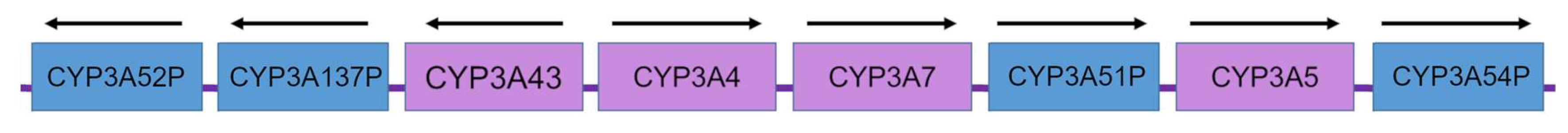 Biomedicines 10 02686 g001 Biomedicines 10 02686 g001